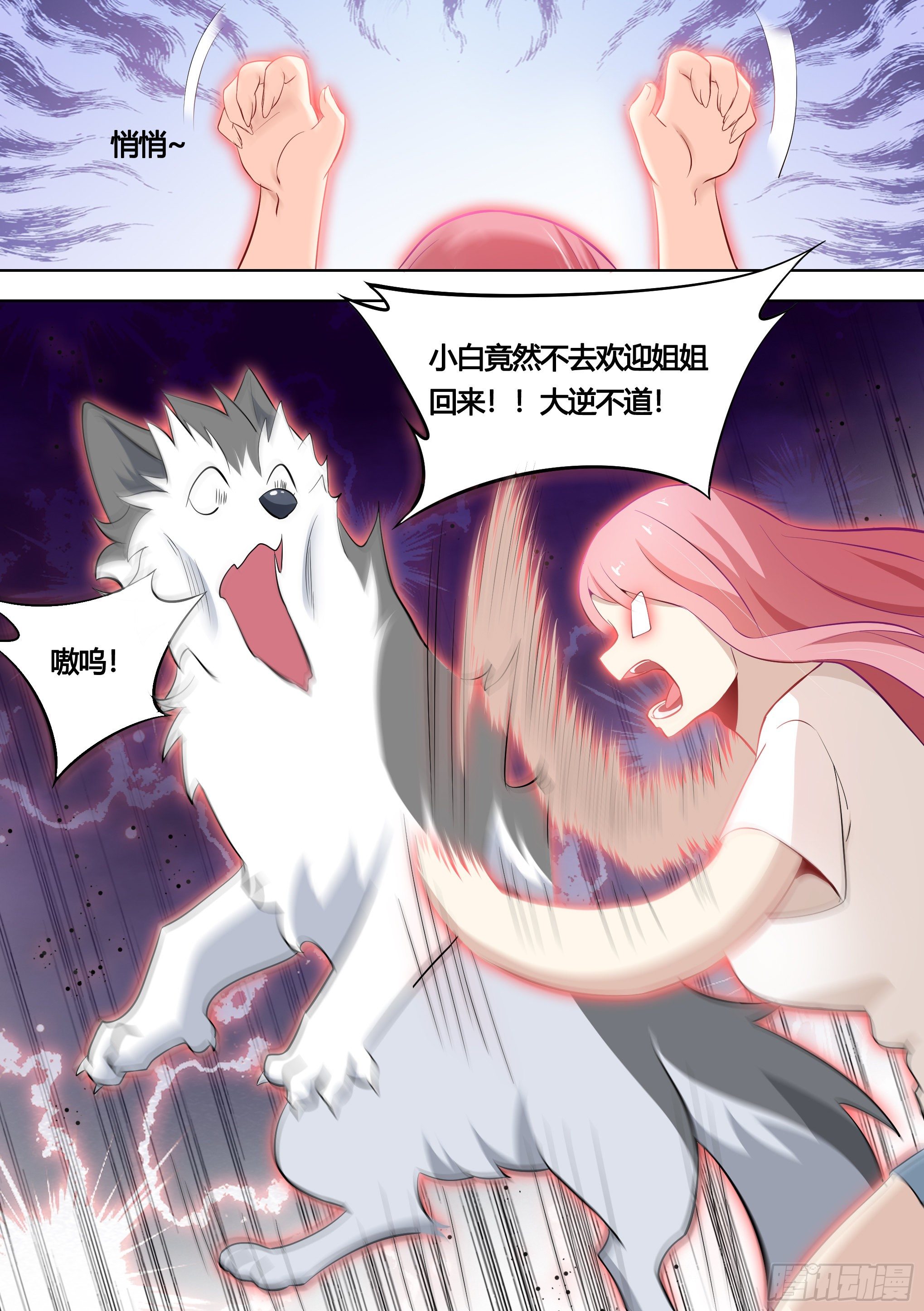 151-这是要开动物园的节奏1