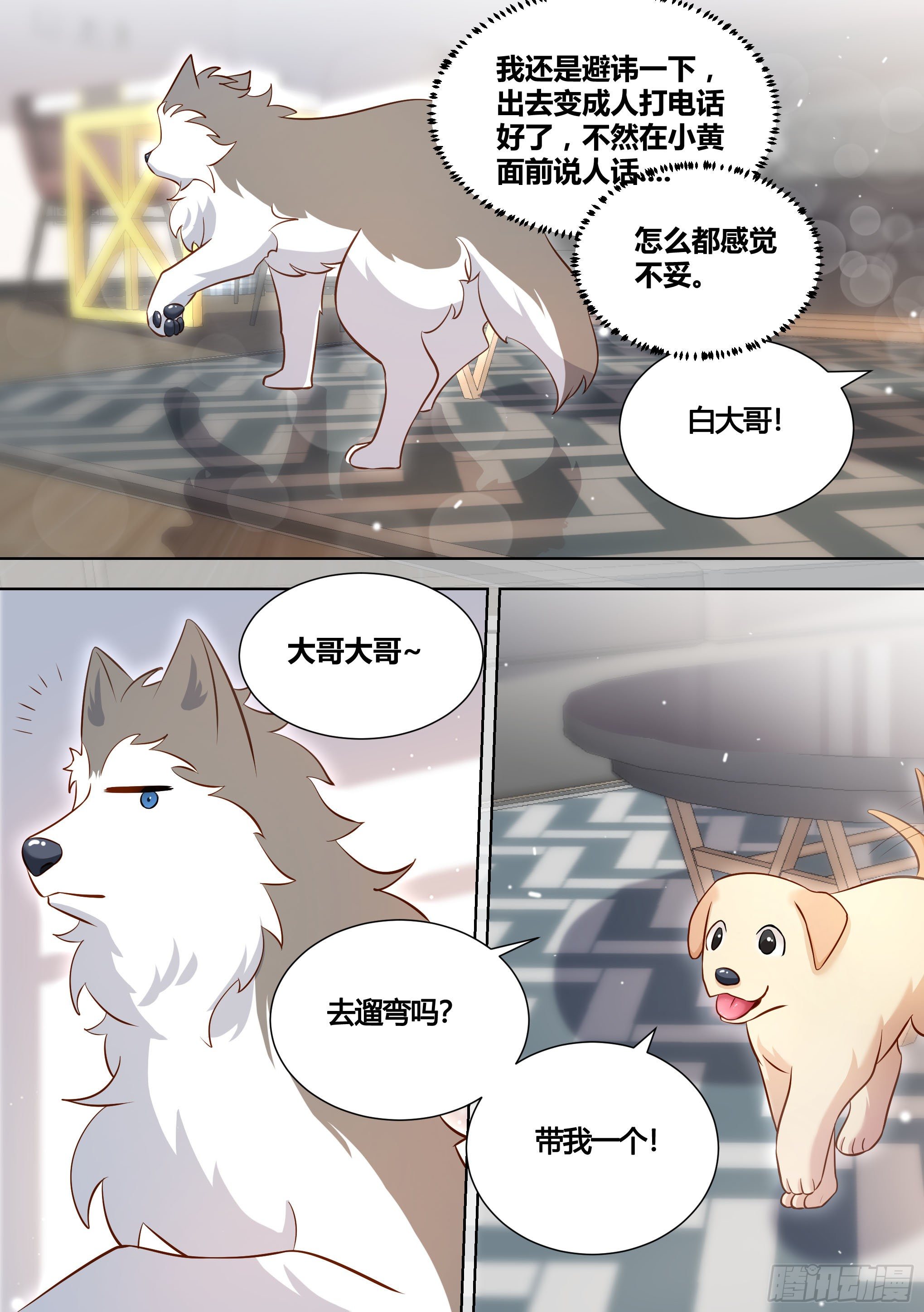 146-带小黄住酒店！5