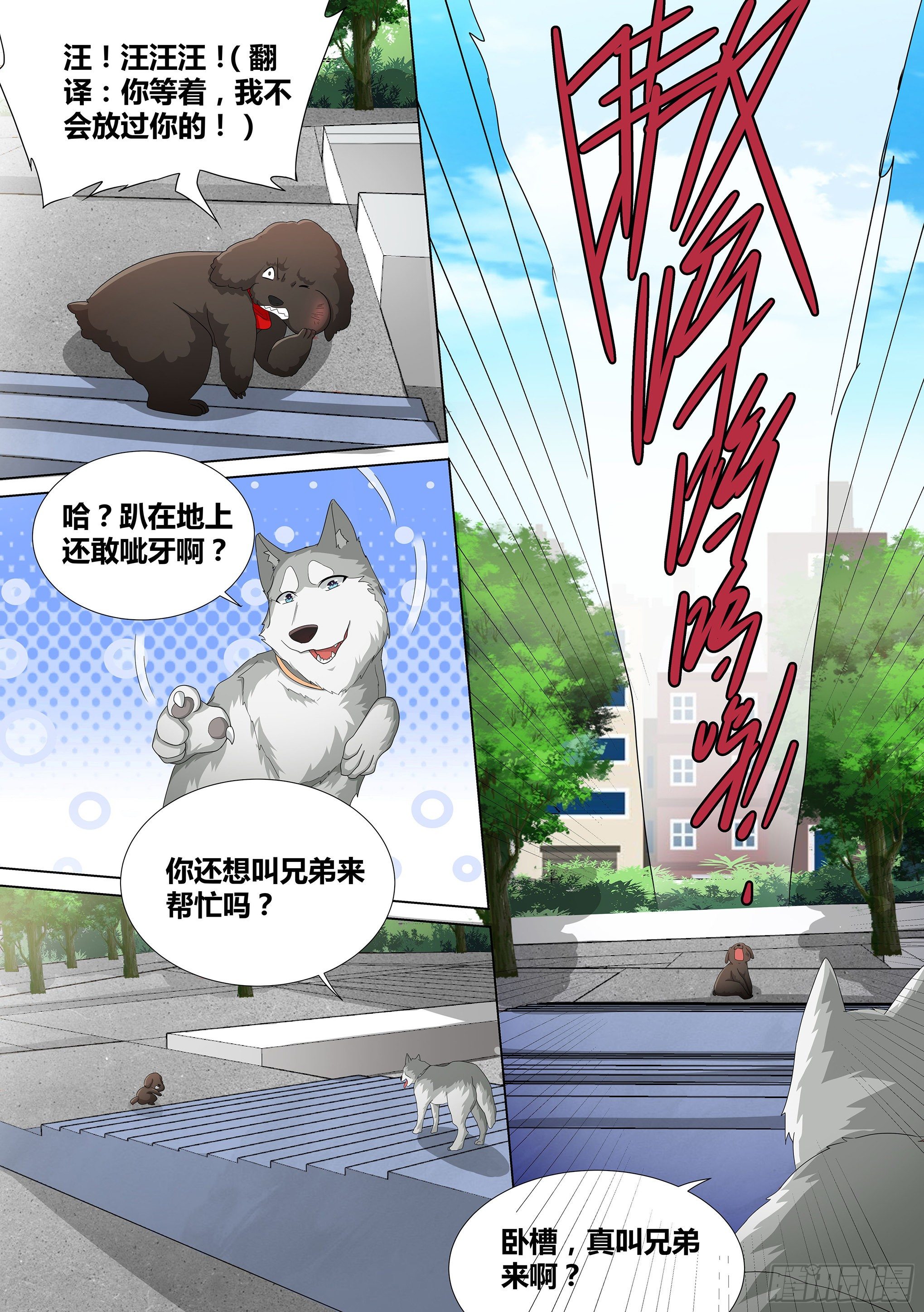 9-小区“恶霸”17
