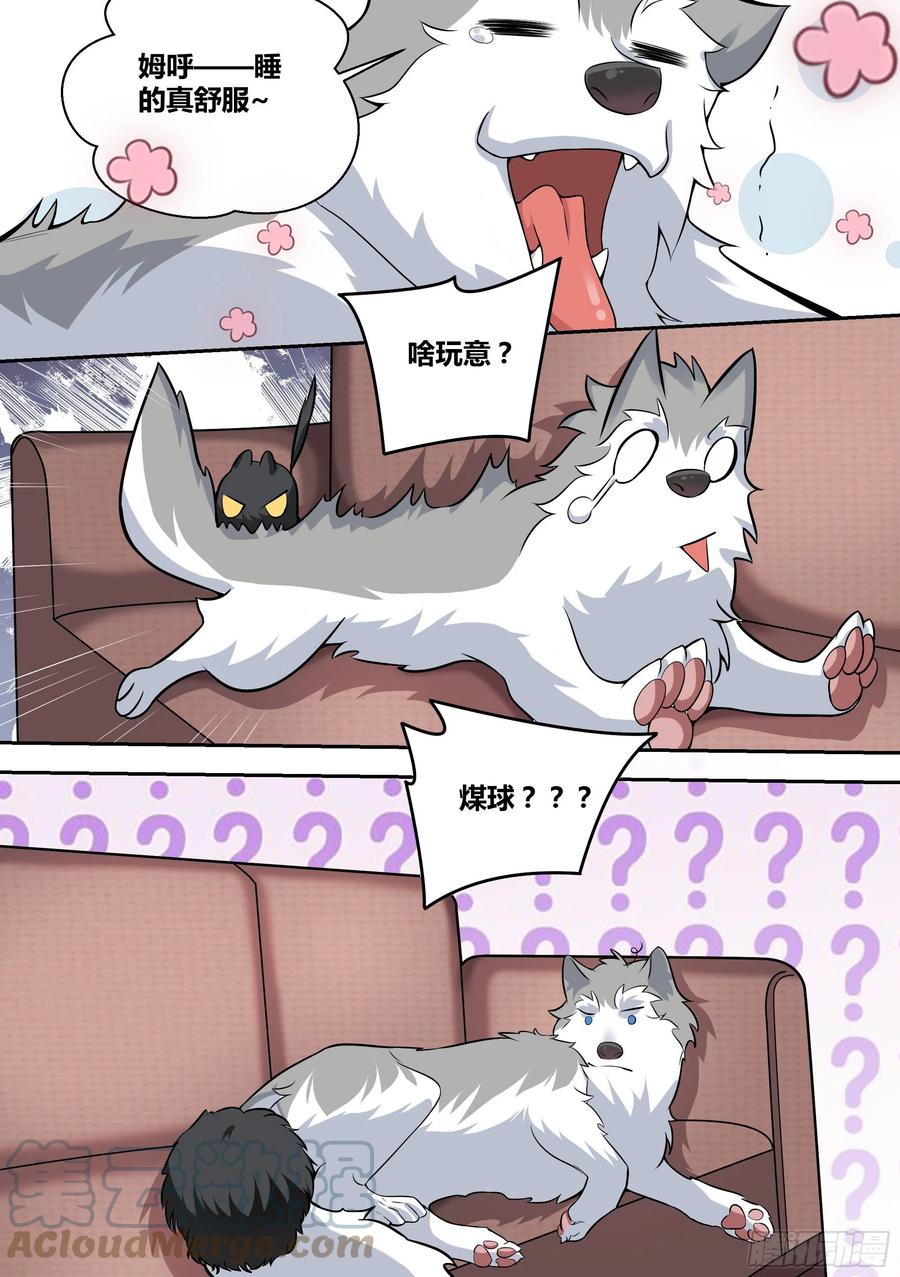 49-小白VS黑炭4