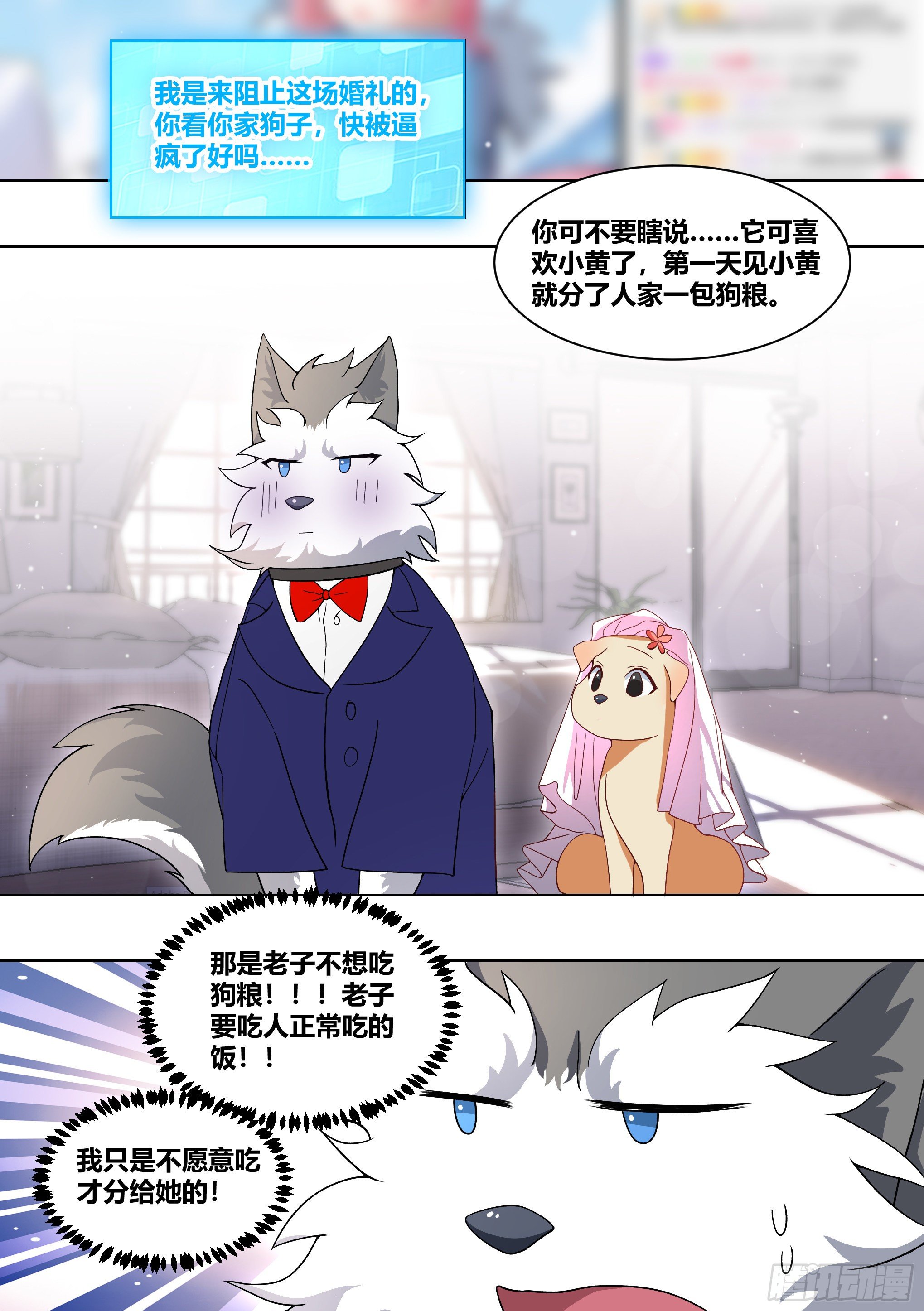 220-败家指令1