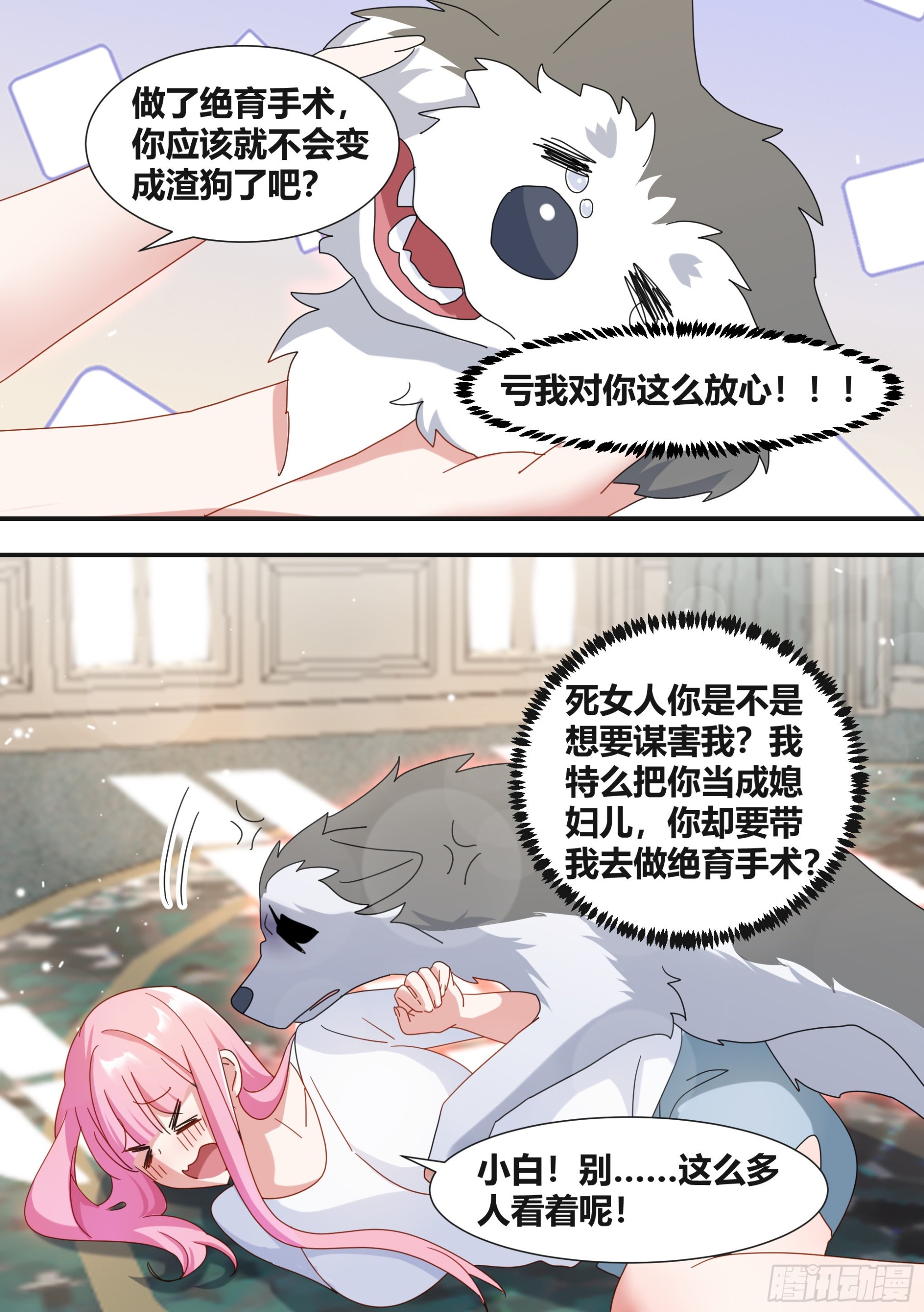 281-买的流量？2