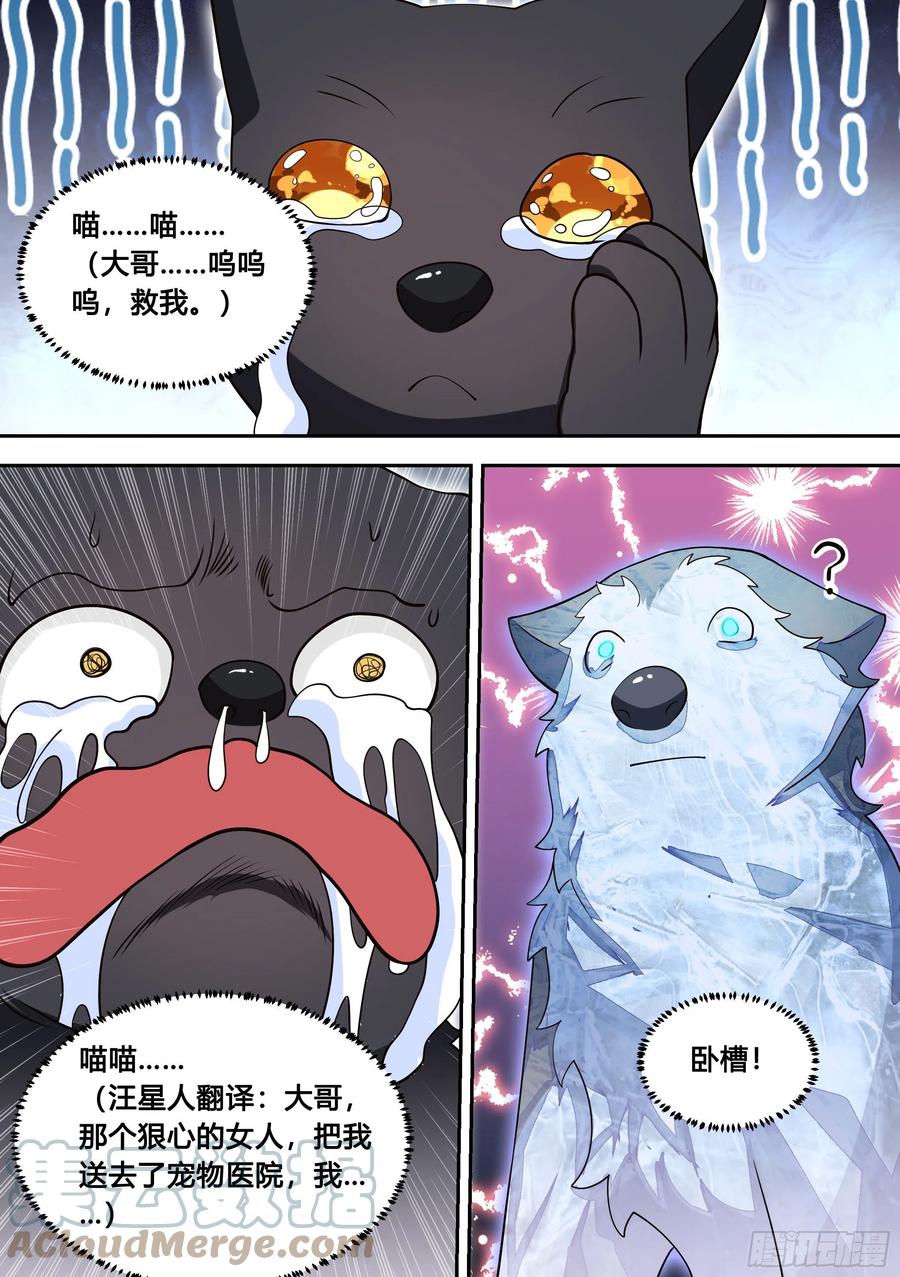 95-这门亲事我不同意！9