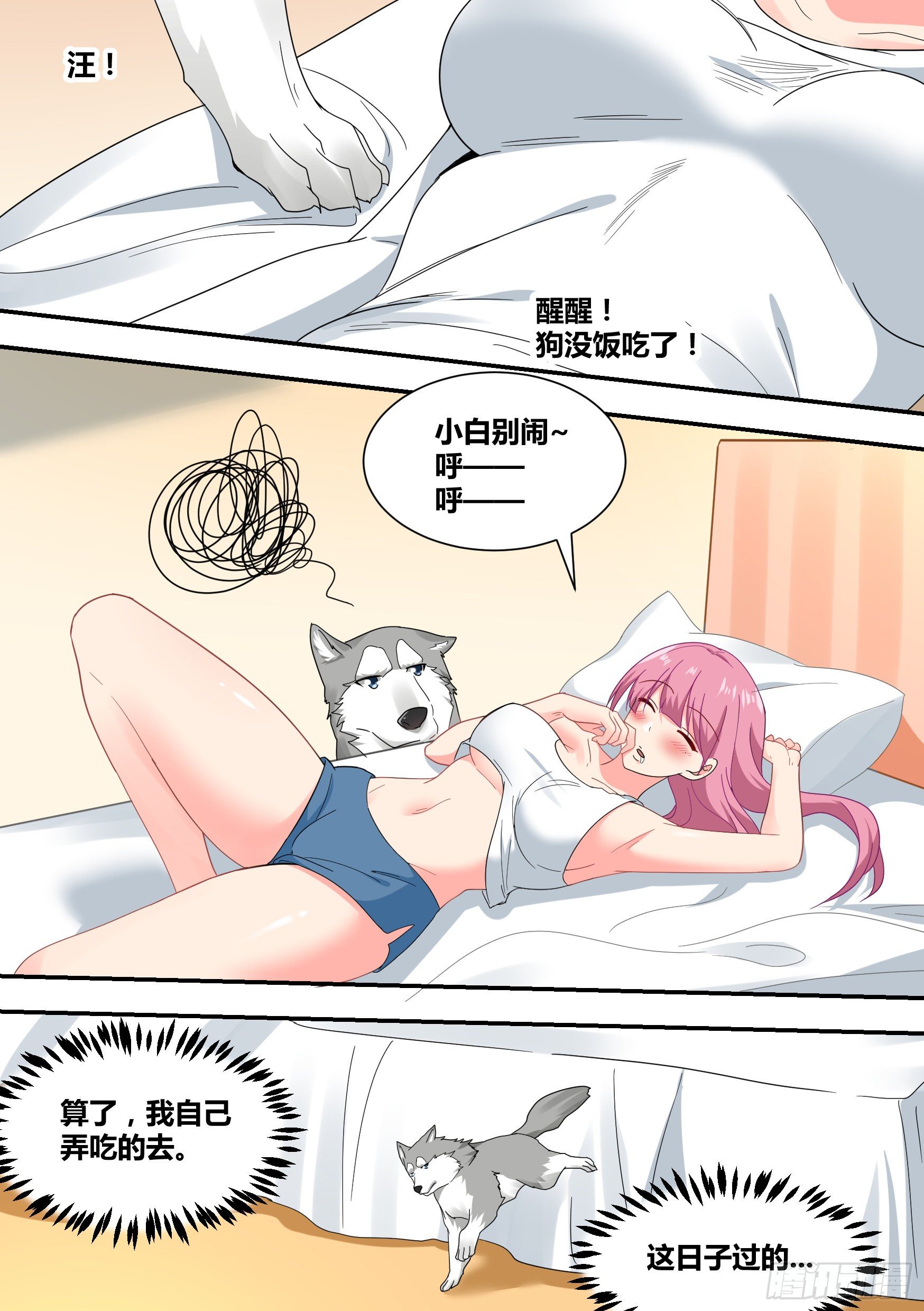 22-拆家基因觉醒5