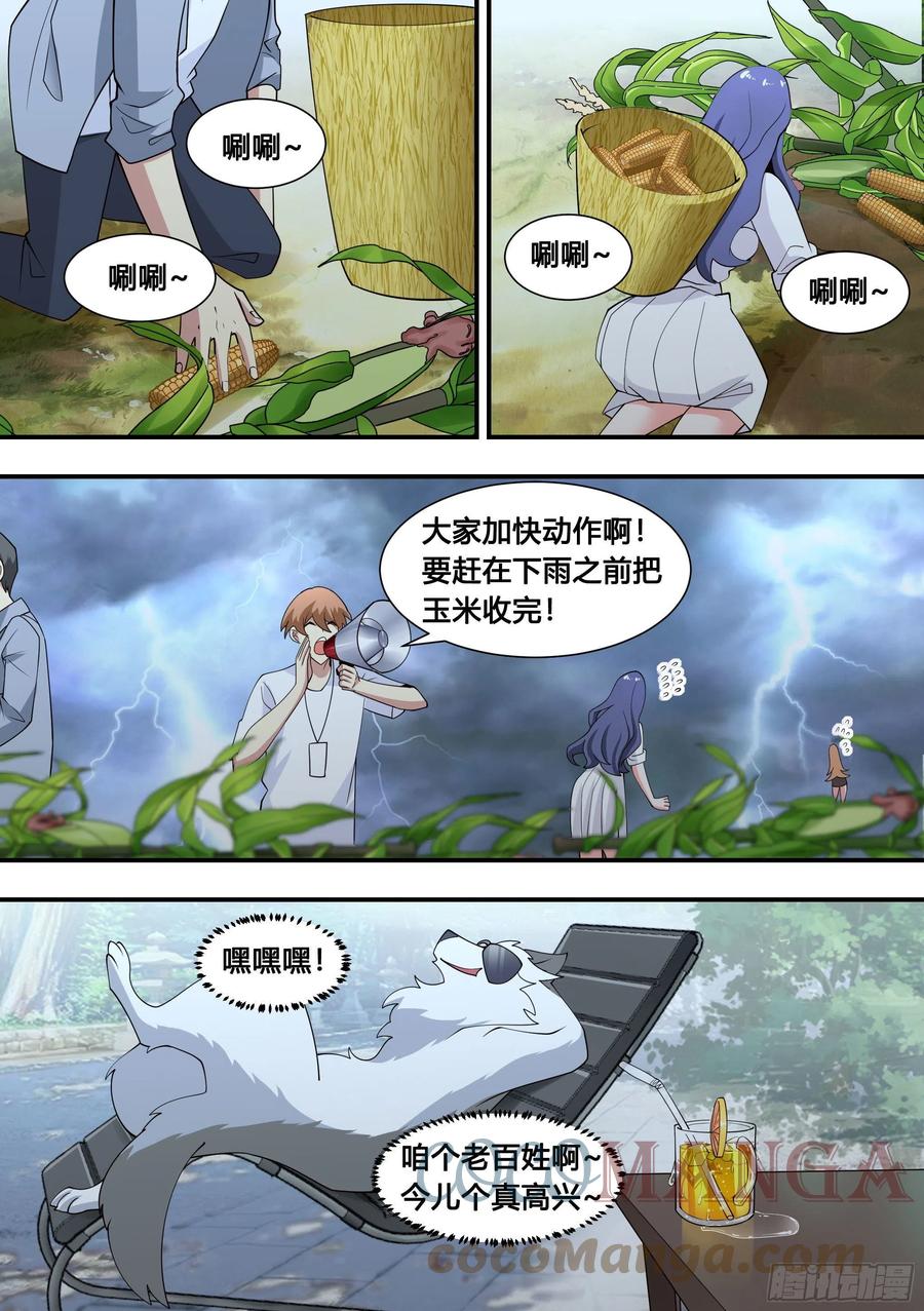 103-心机小白拆家计4