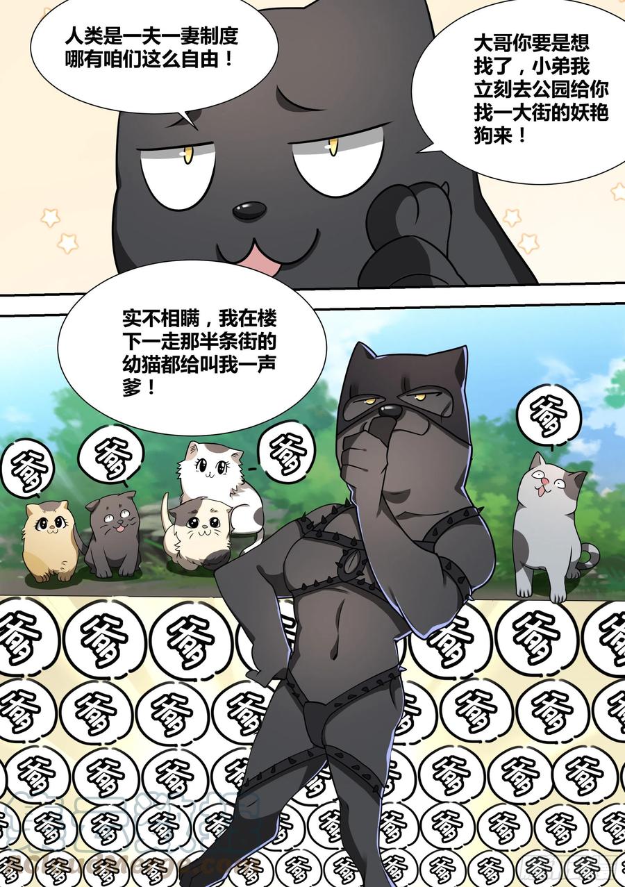 52-牛牛黑炭9