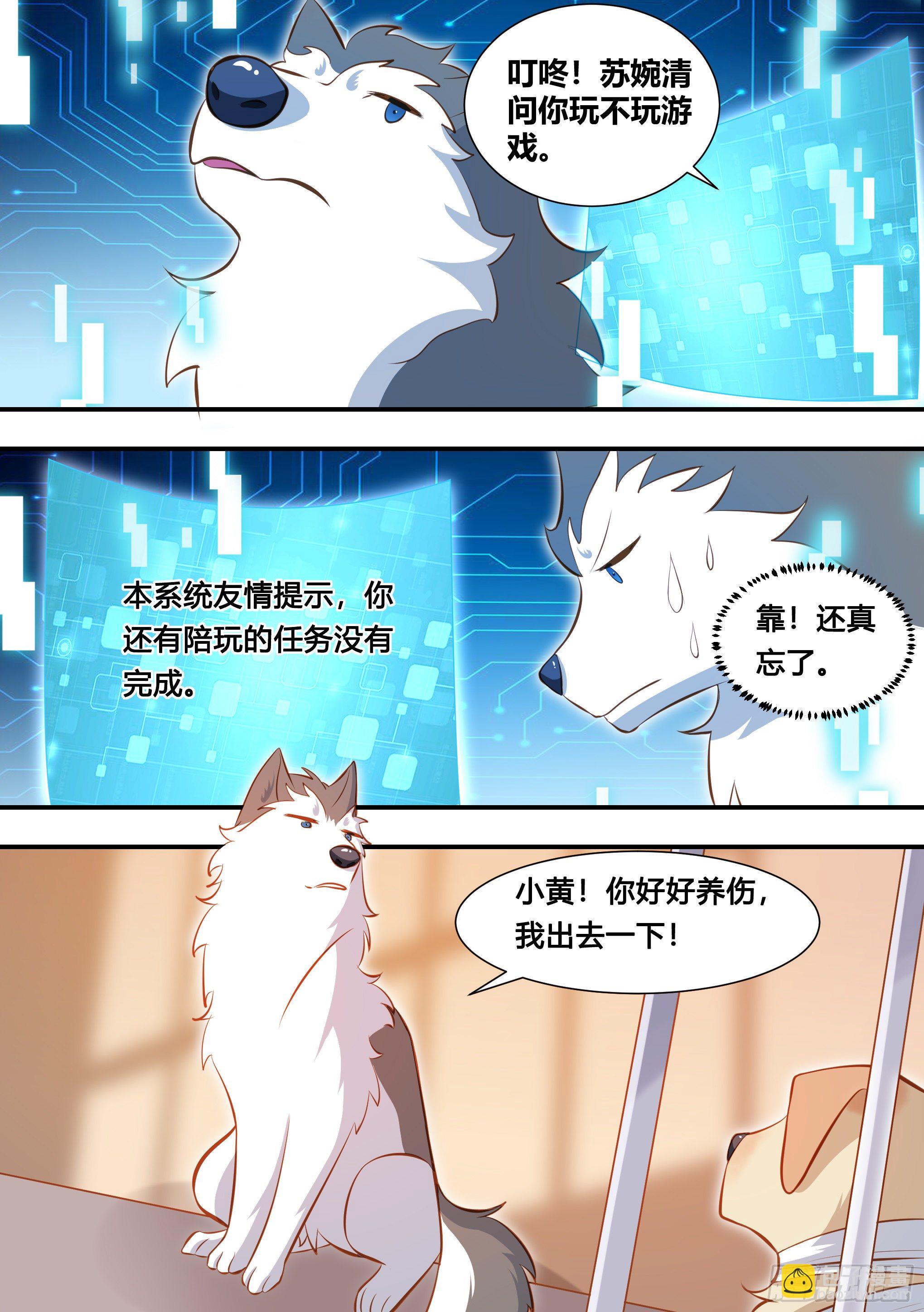 127-流浪狗的苦难生活10