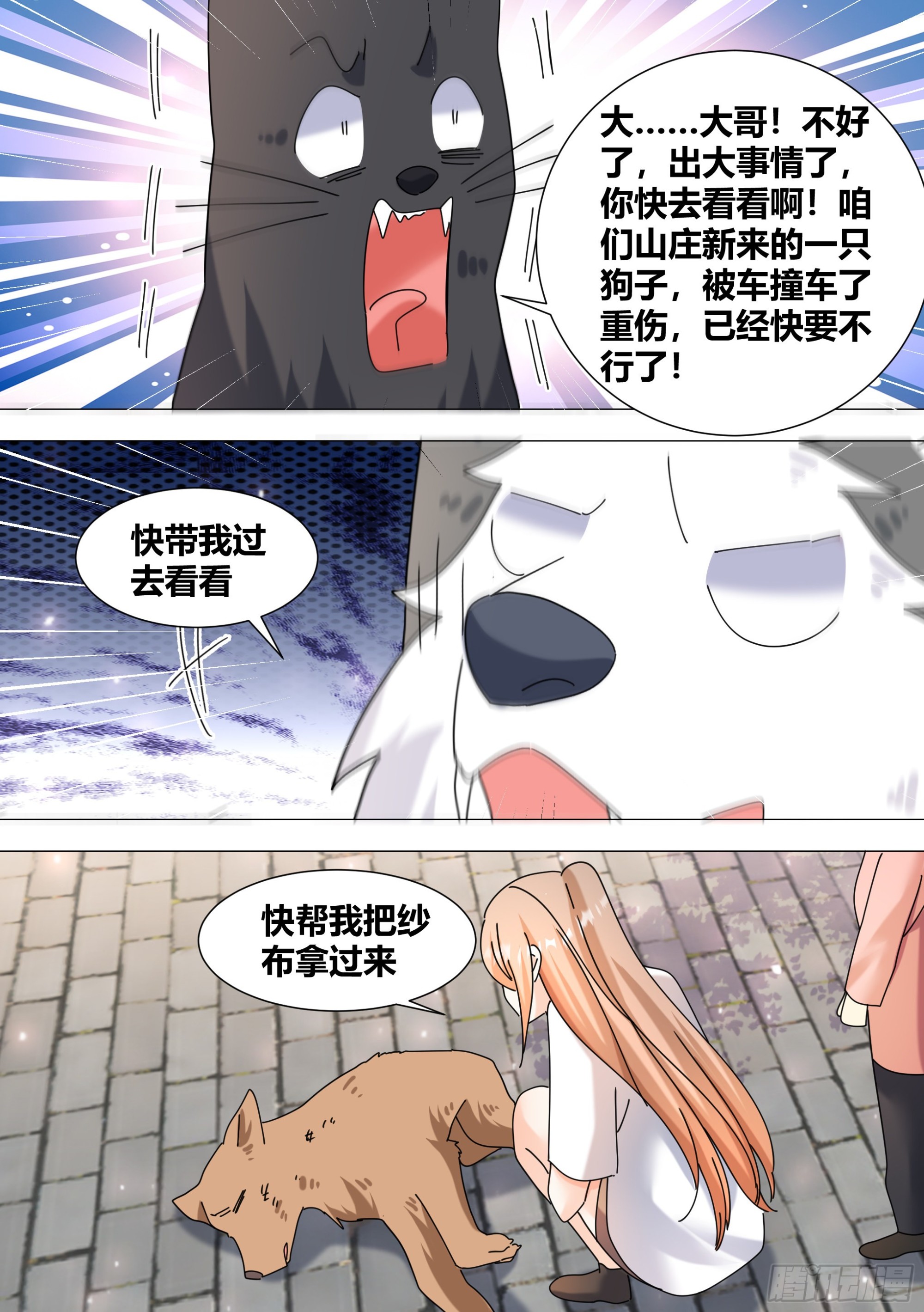 371-老板，你放过我们好吗8