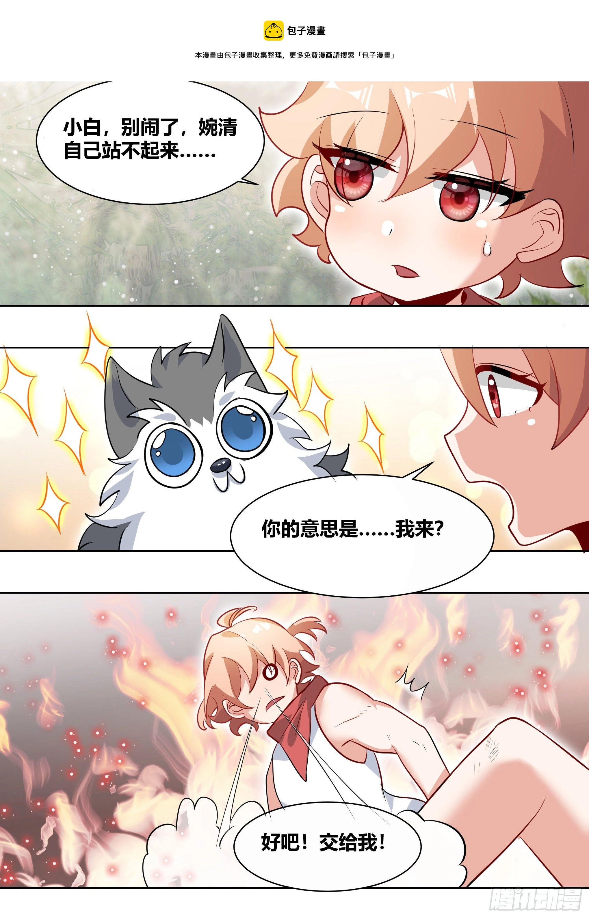 181-全鸡宴8