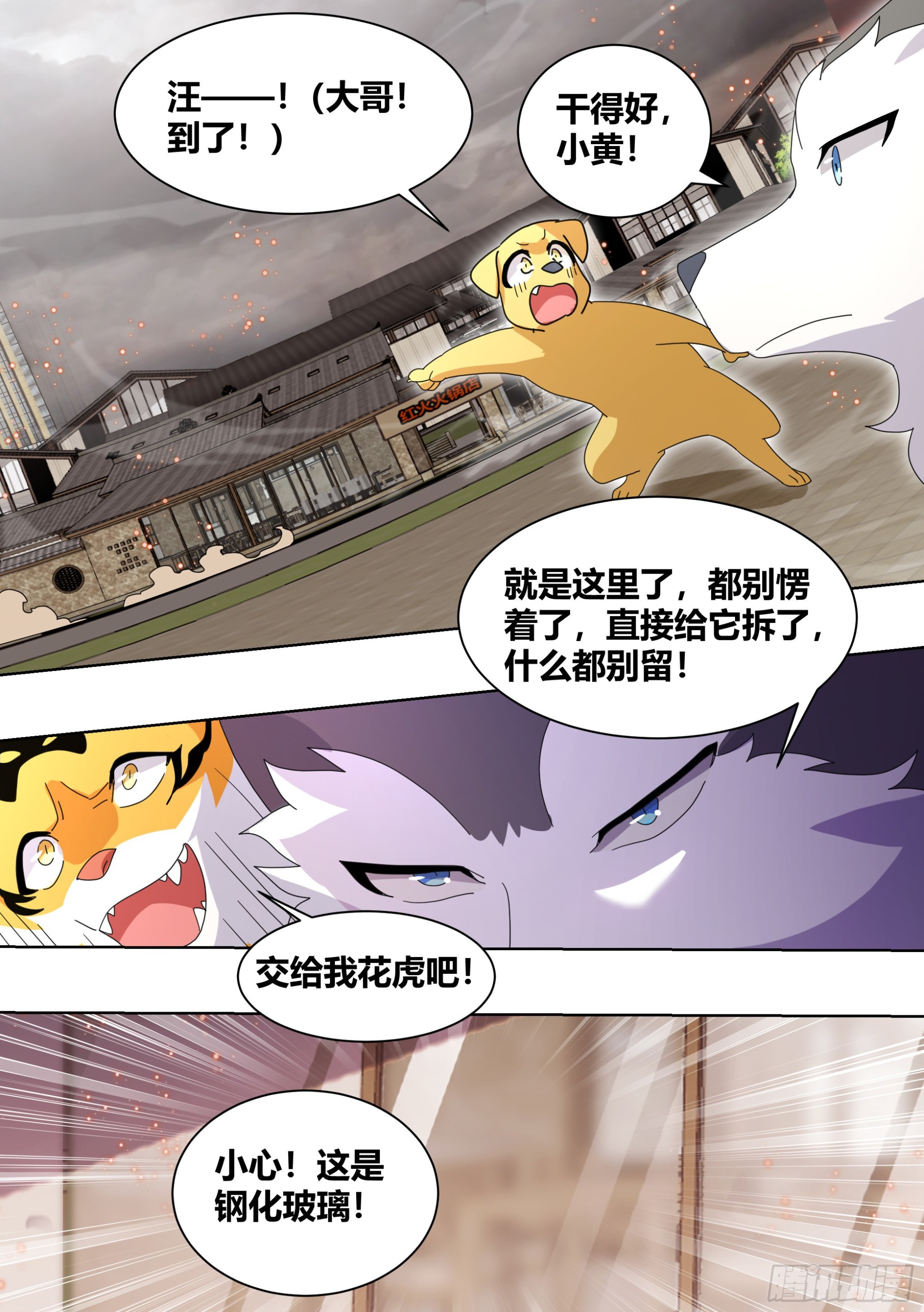 259-拆家是动物的本质1