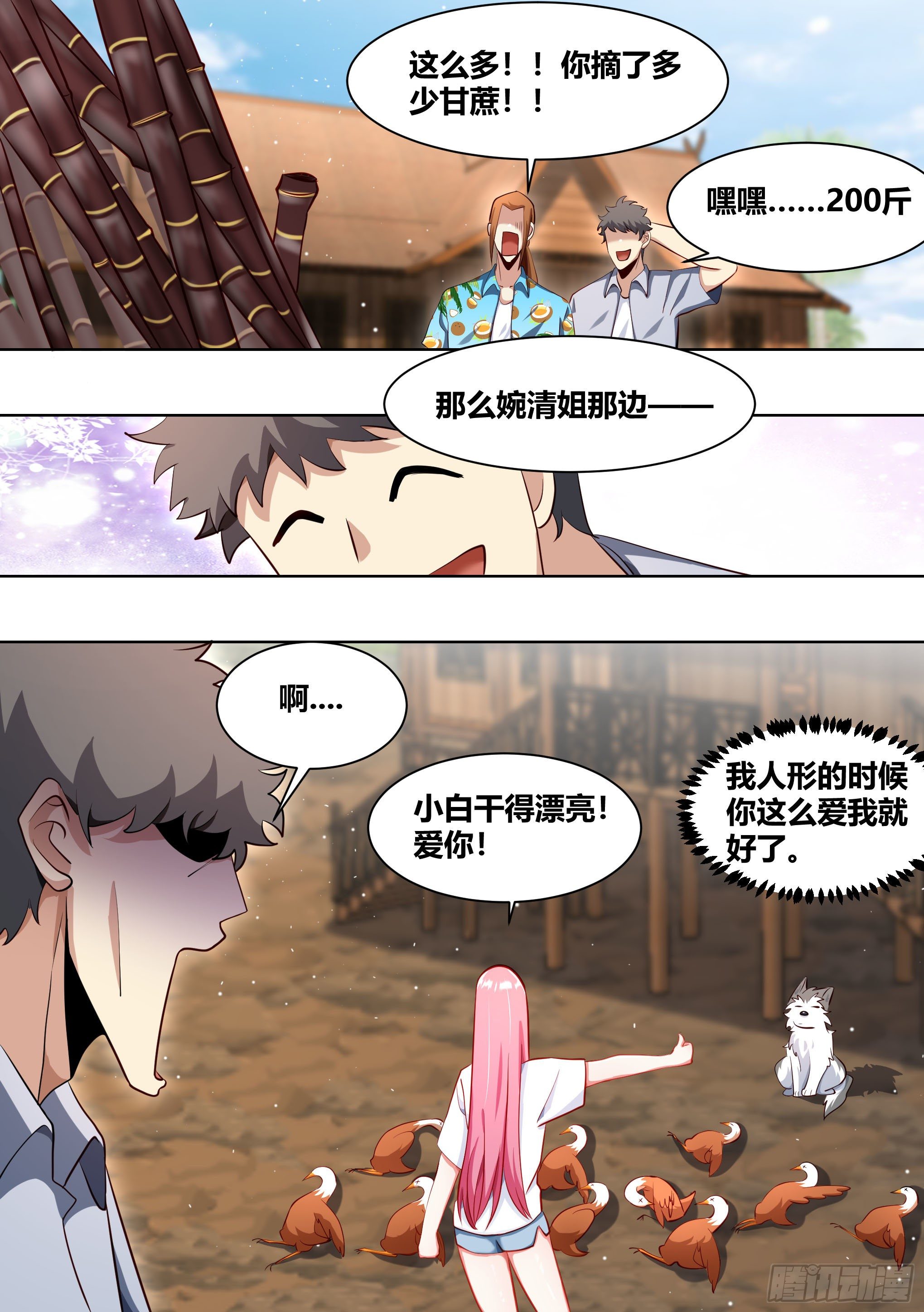 181-全鸡宴11