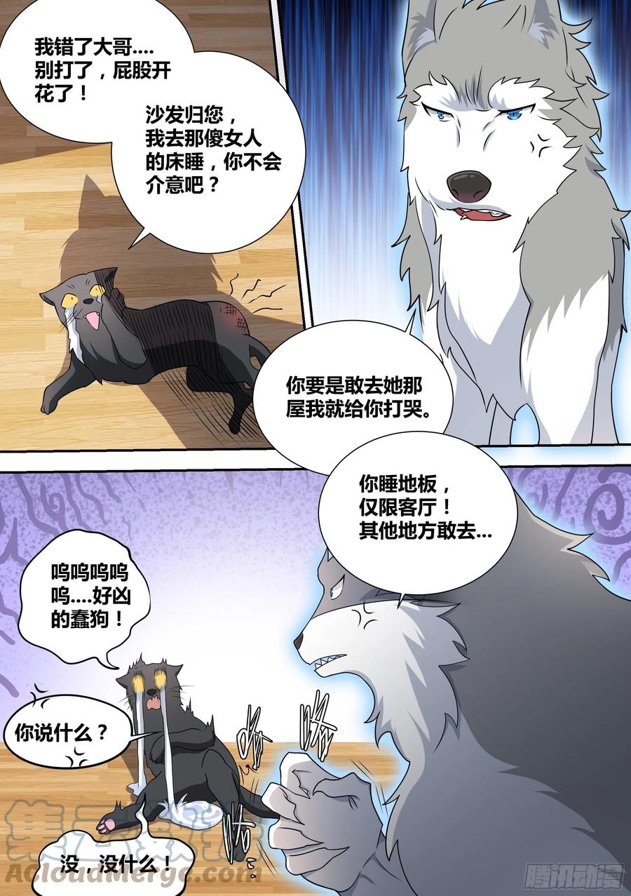 50-招财“黑炭”1