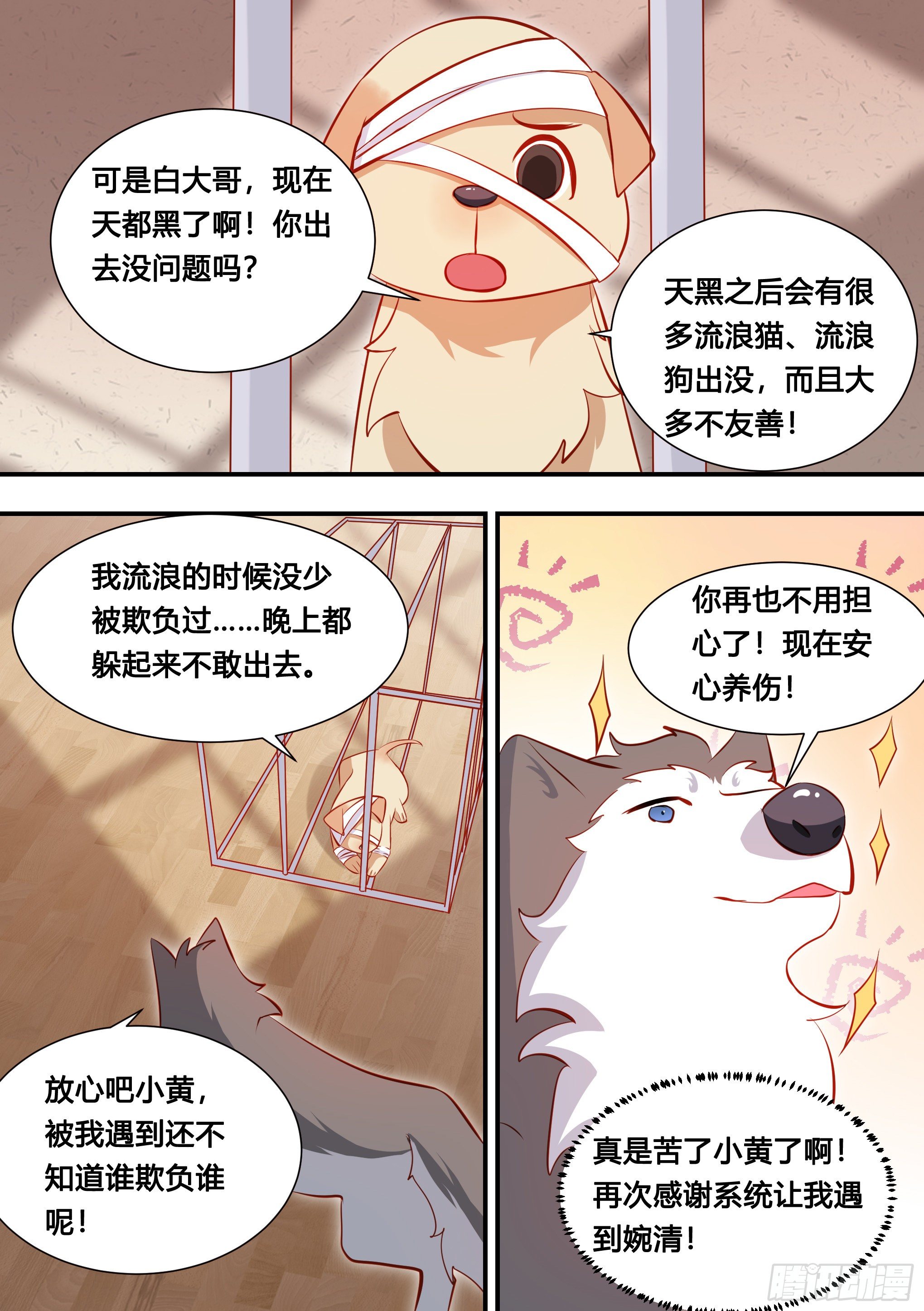 127-流浪狗的苦难生活11