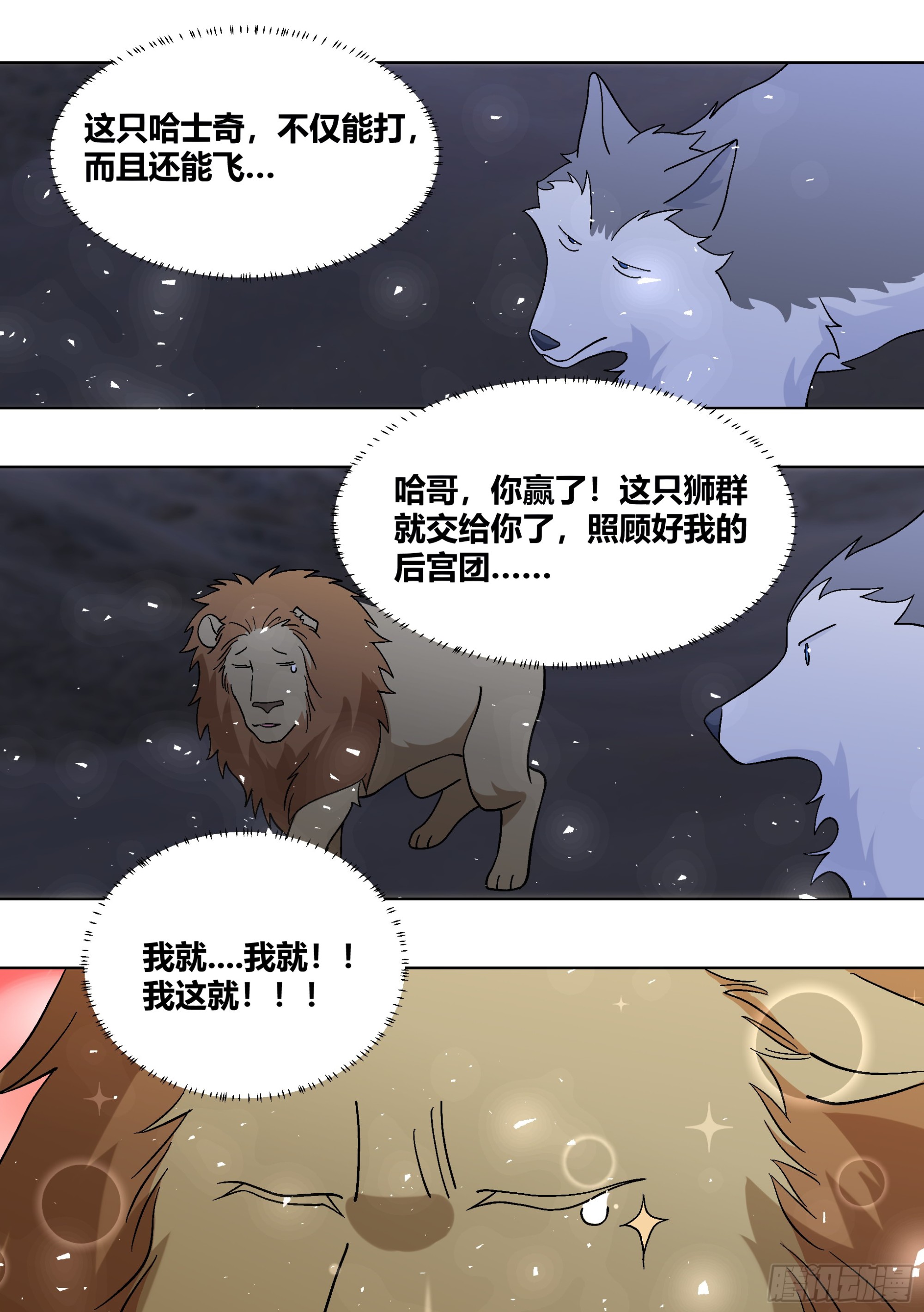 431-小白可能会飞3