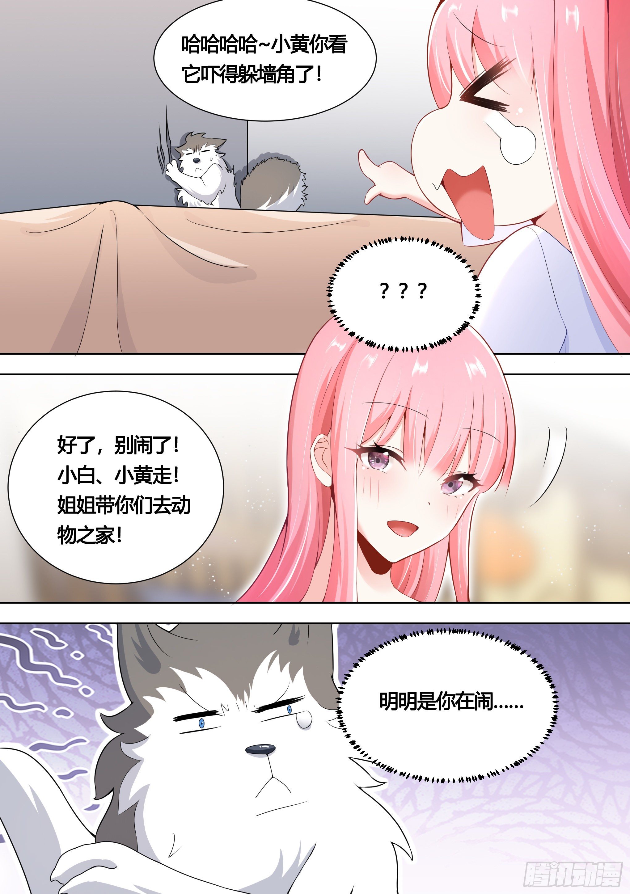 151-这是要开动物园的节奏2