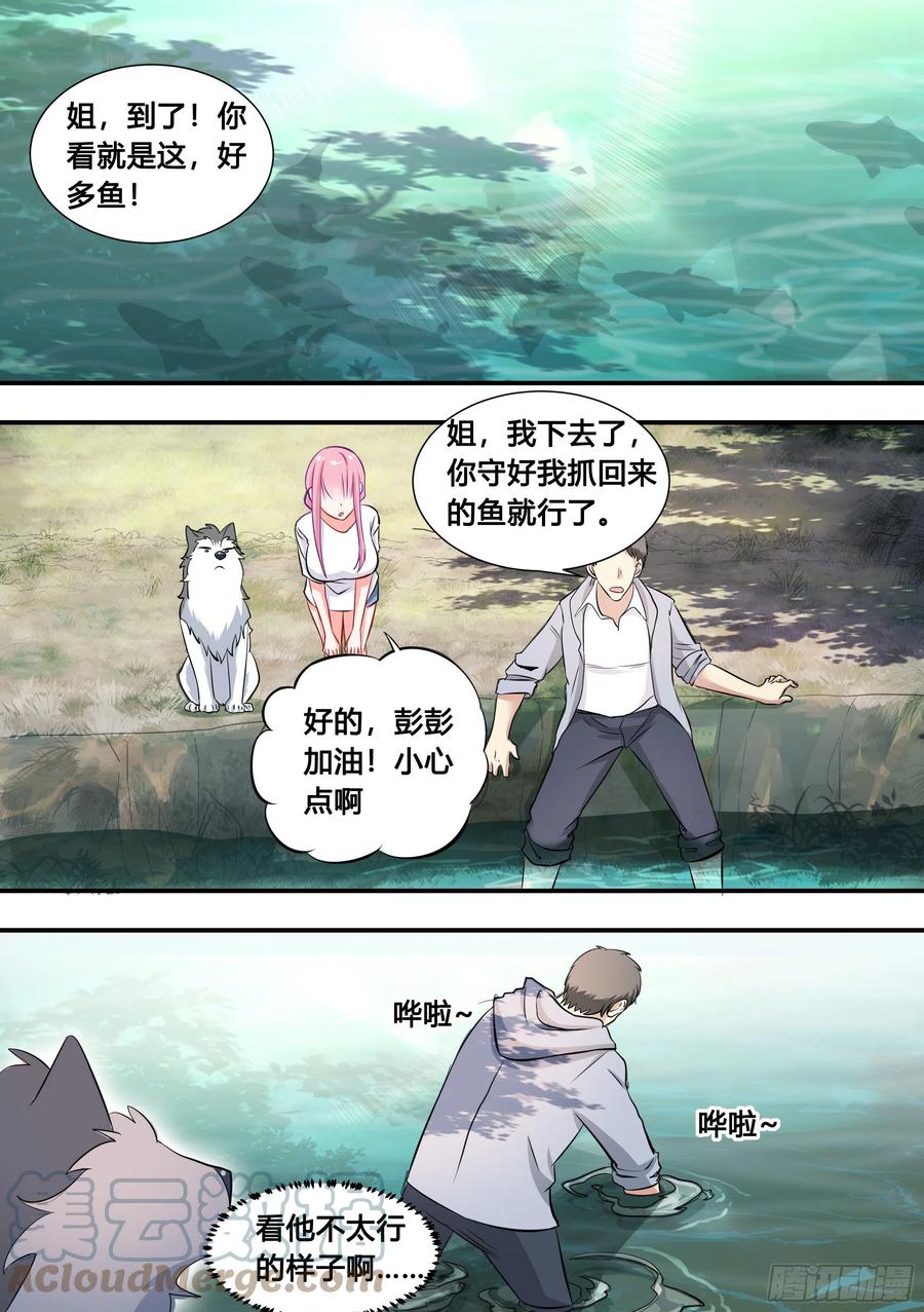 100-还得看我家小白4