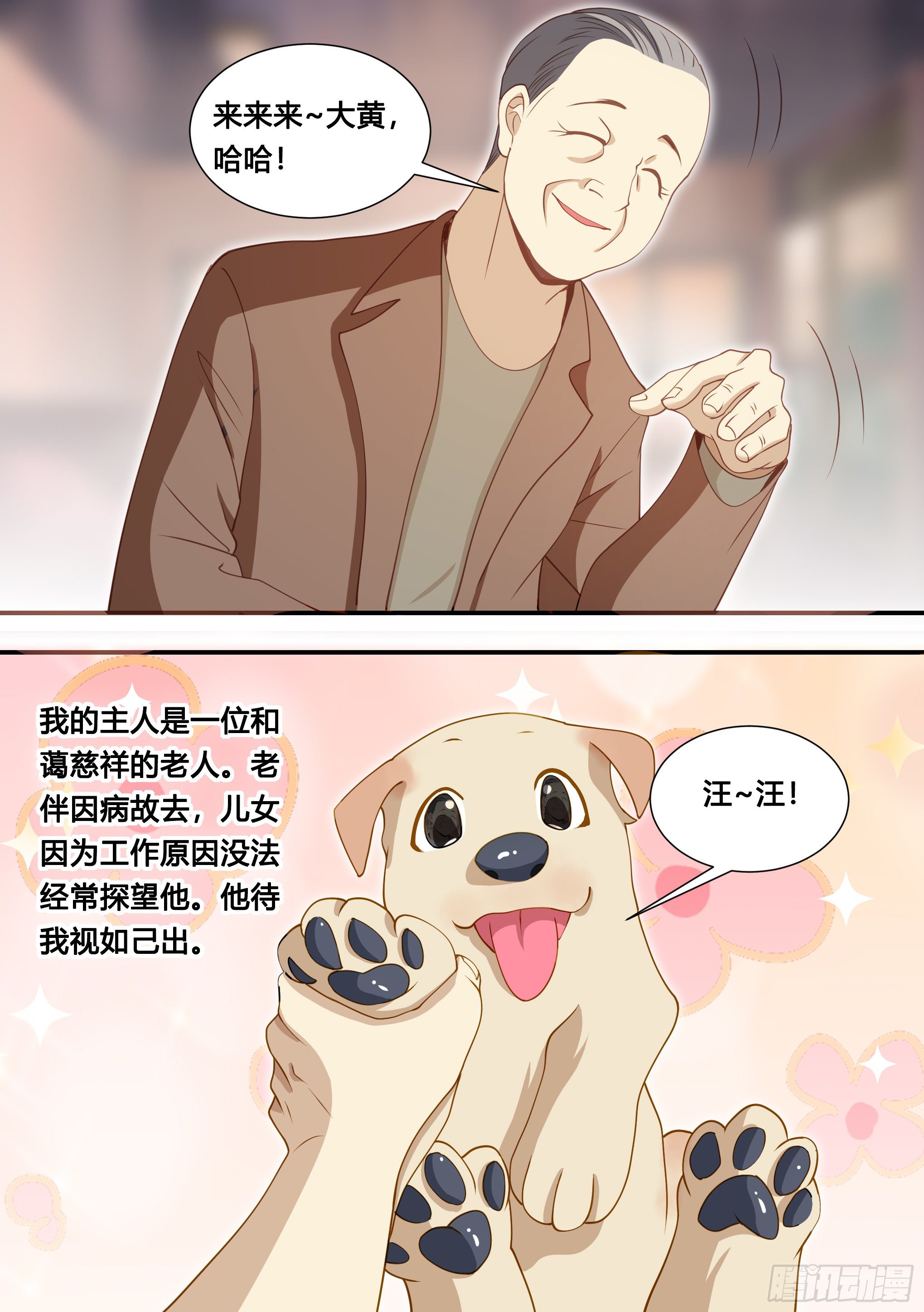 127-流浪狗的苦难生活1