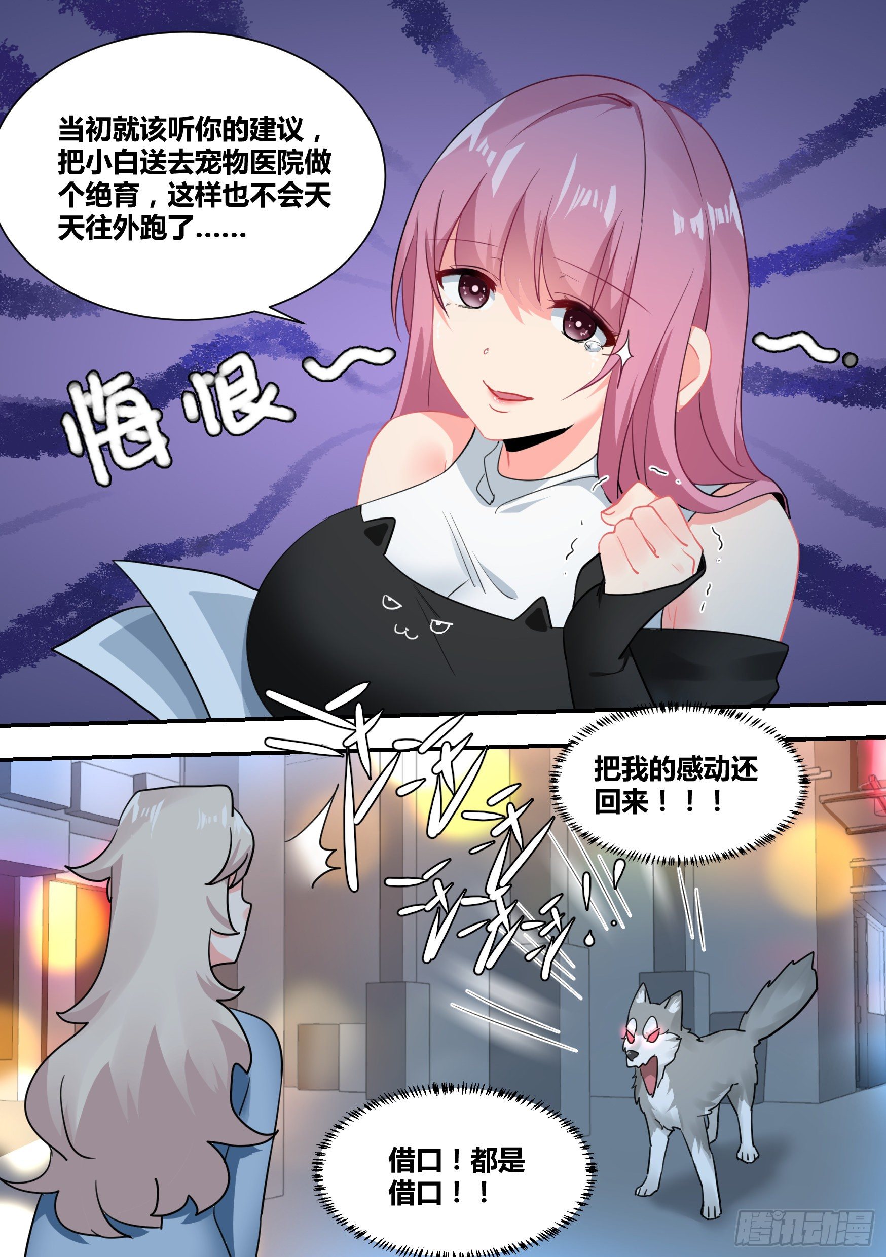 29-寻狗启示3
