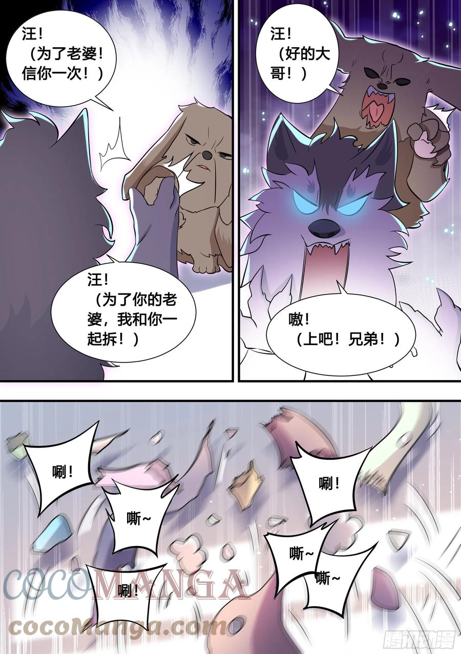 103-心机小白拆家计7