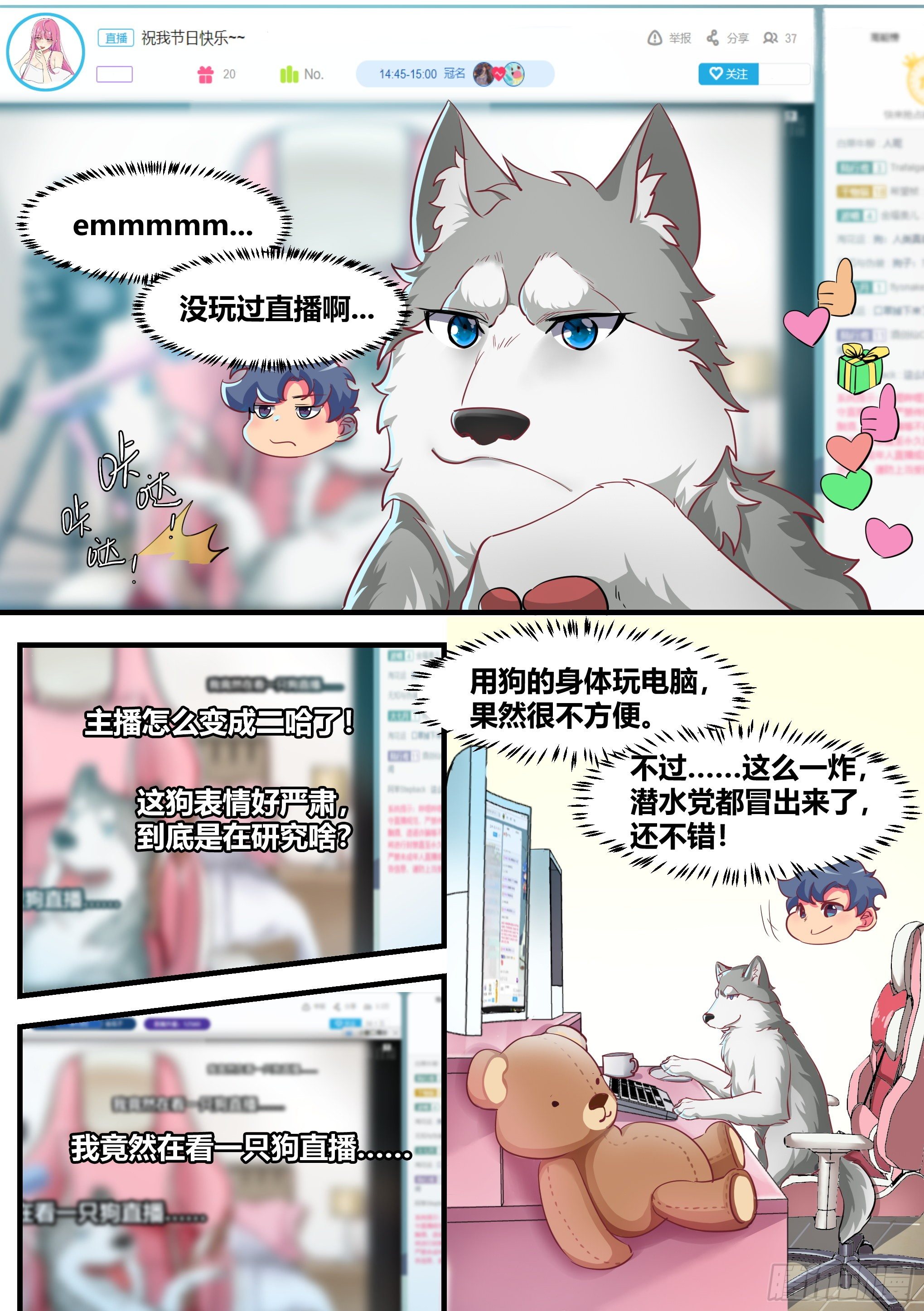 2-“狗皇”诞生了！3