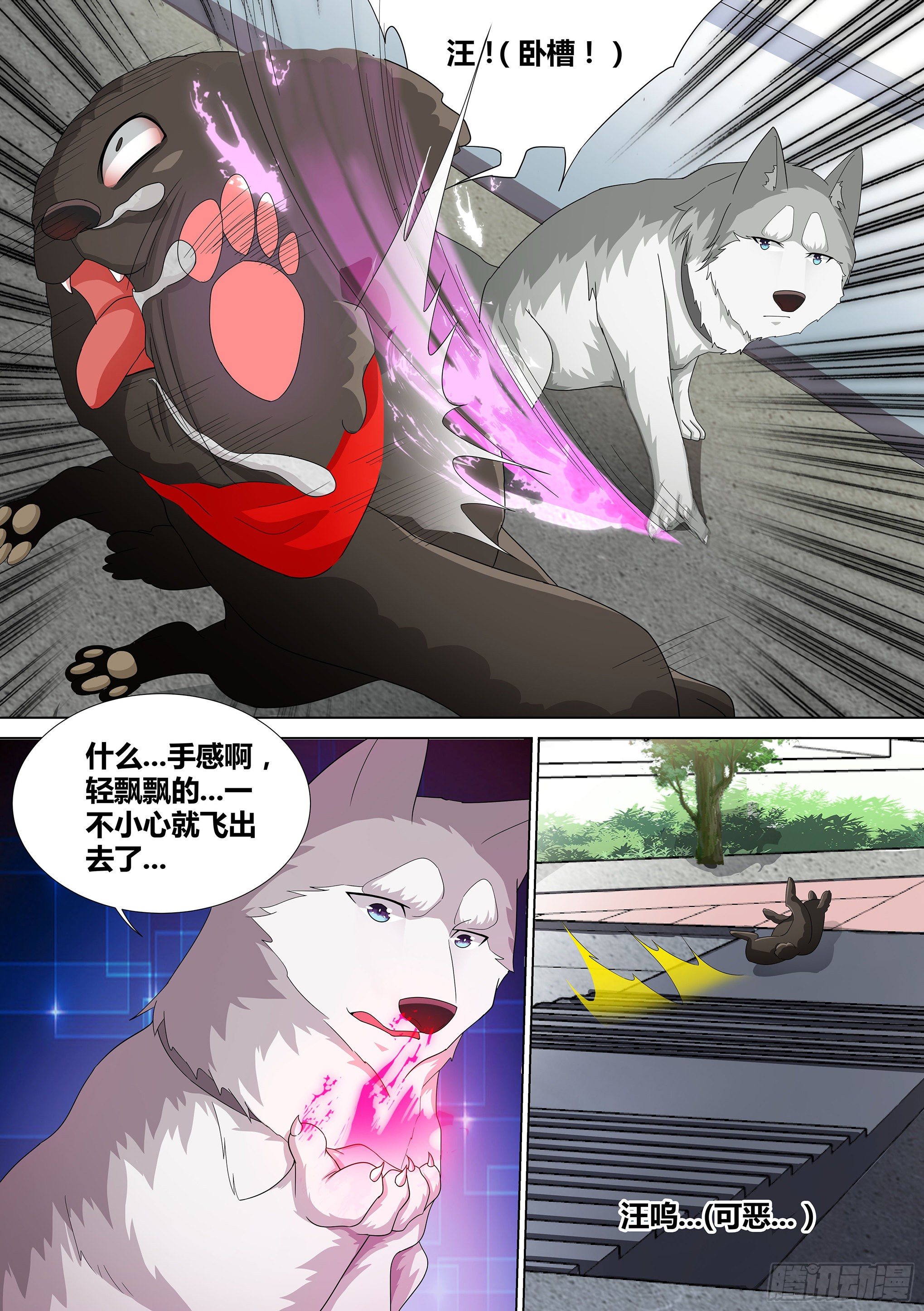 9-小区“恶霸”16