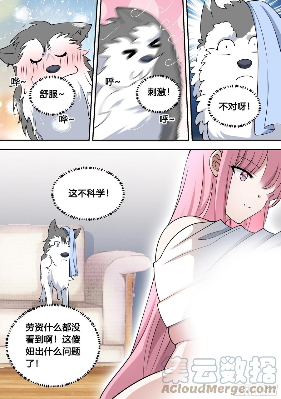 81-给小白洗澡7