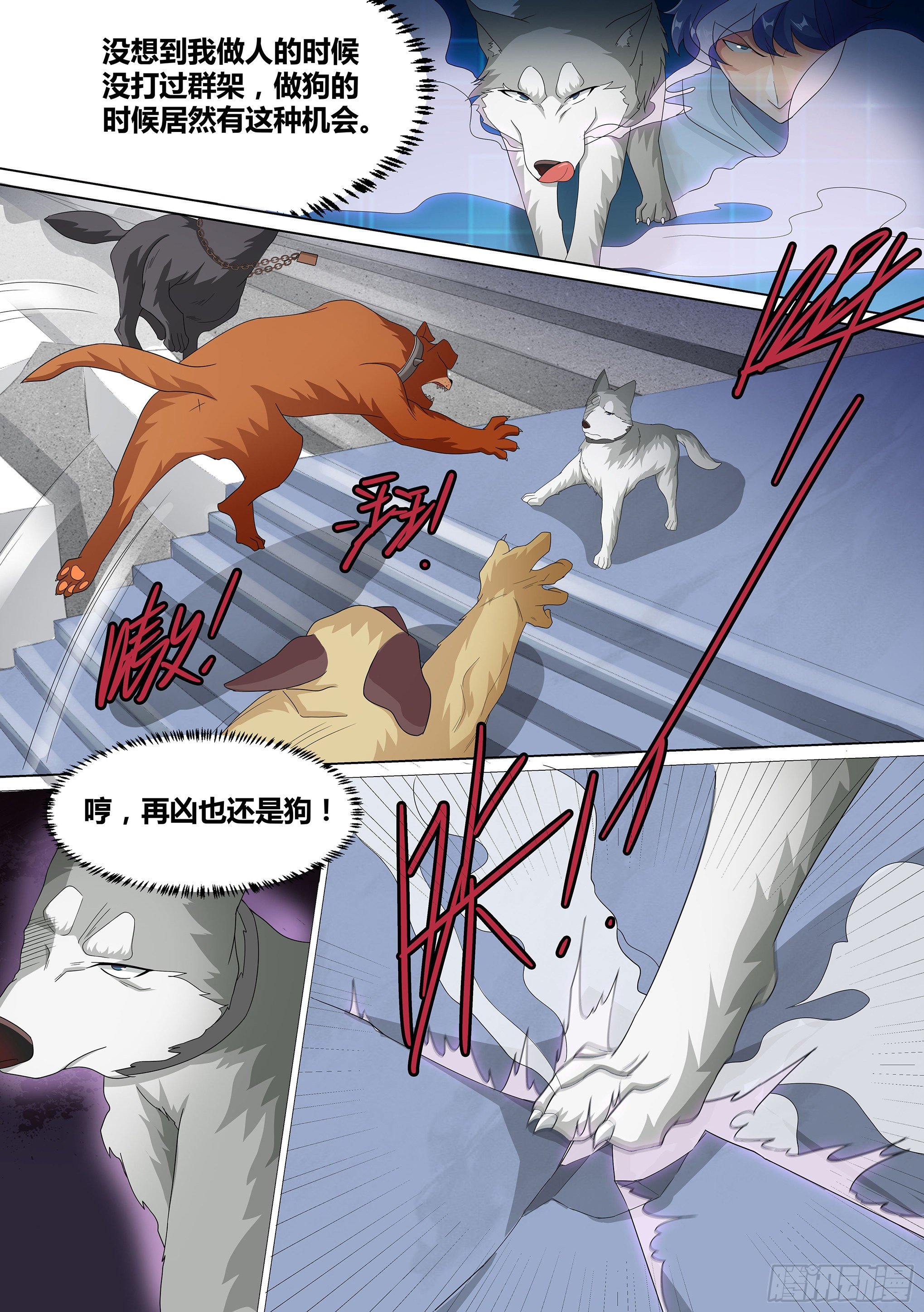 10-无敌狗皇2
