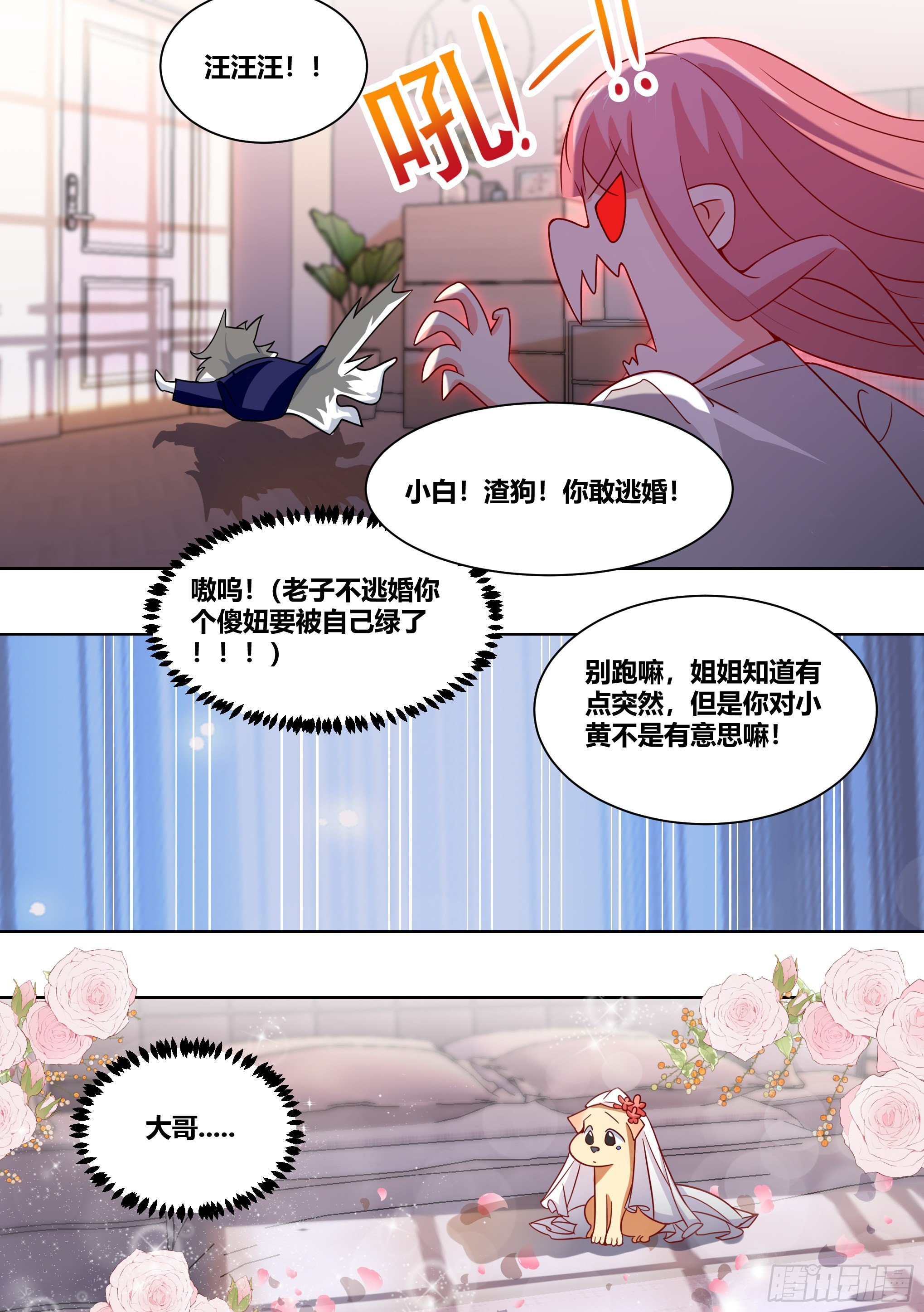 219-逃婚11
