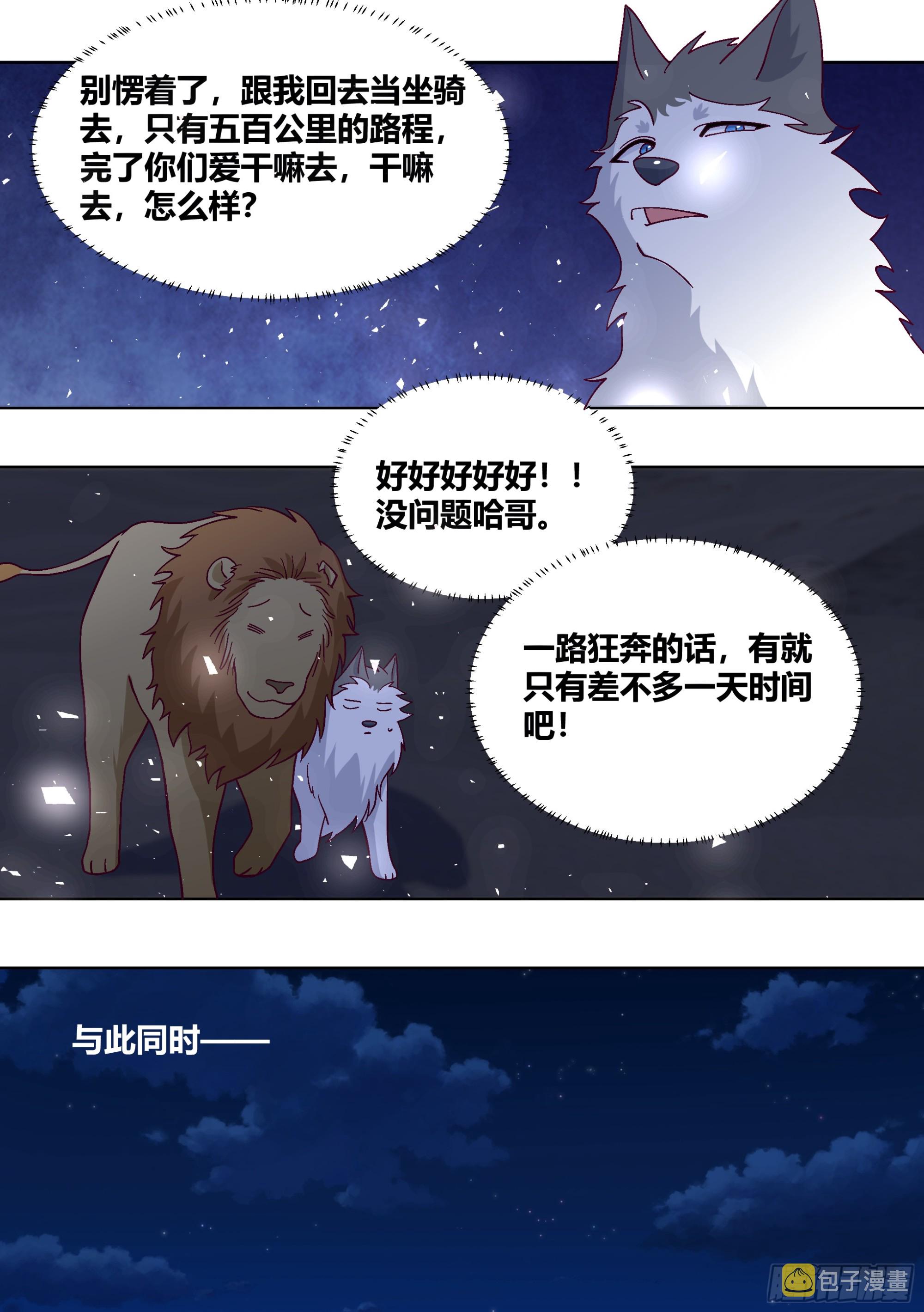 431-小白可能会飞5
