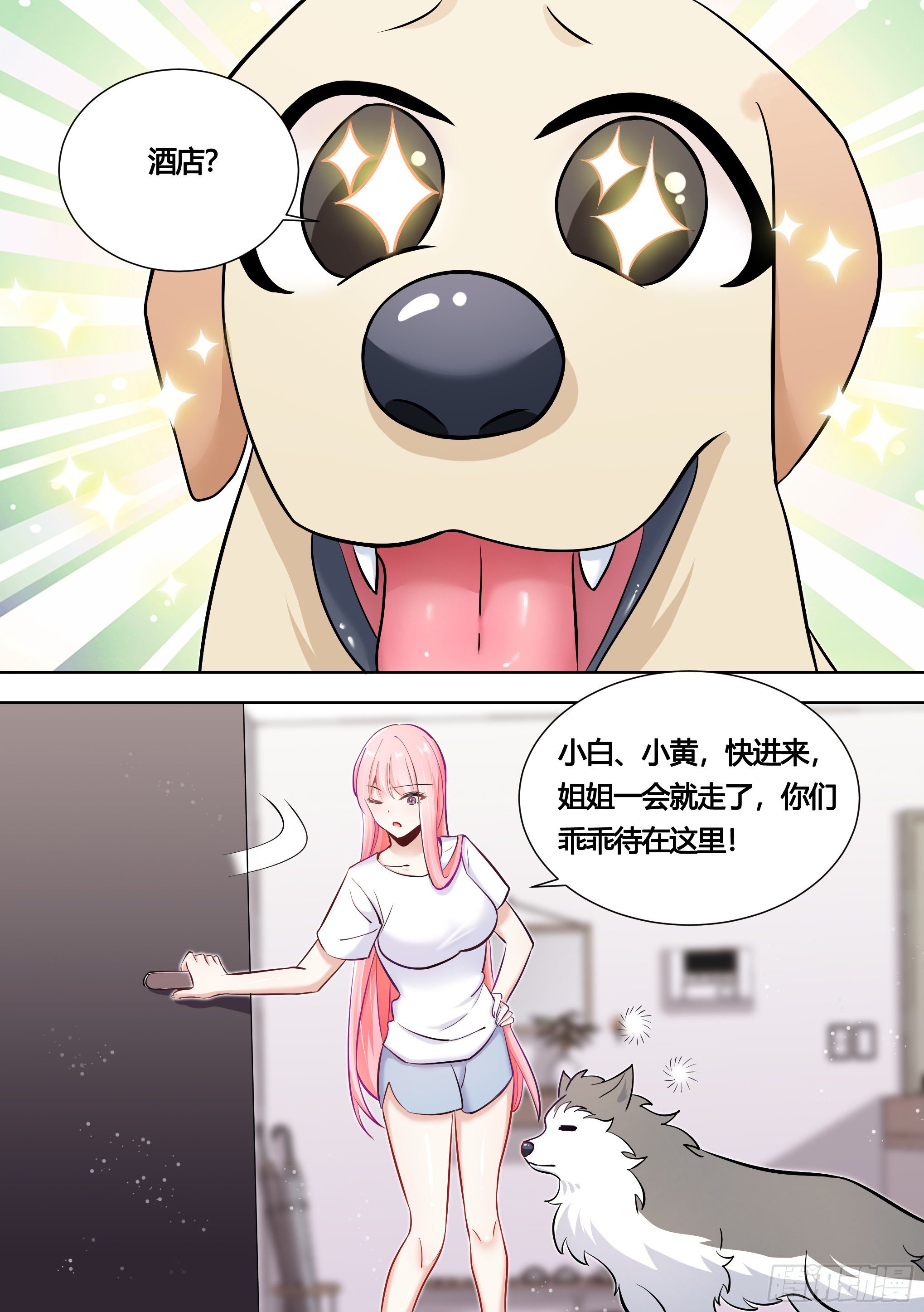 146-带小黄住酒店！11