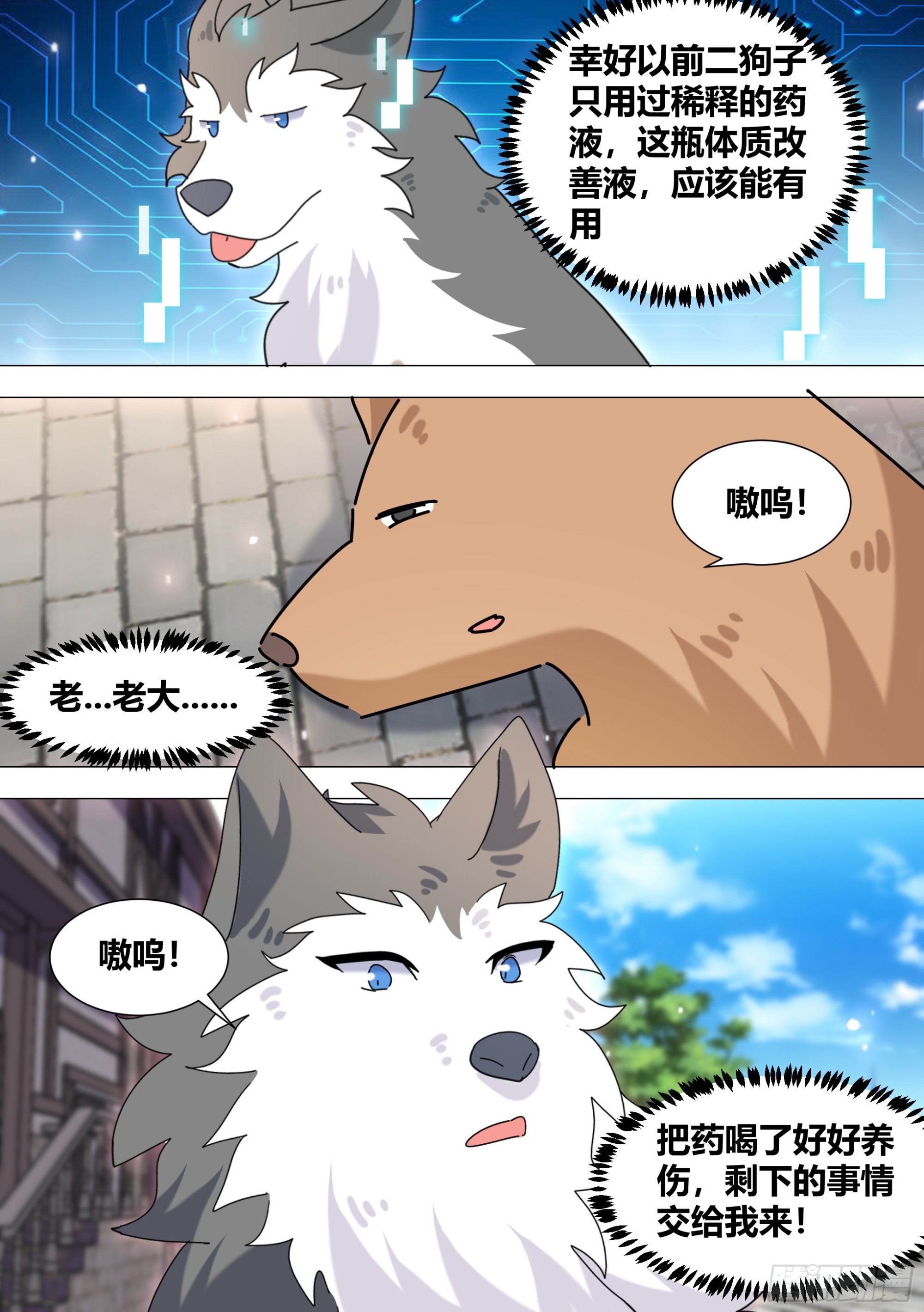 371-老板，你放过我们好吗12