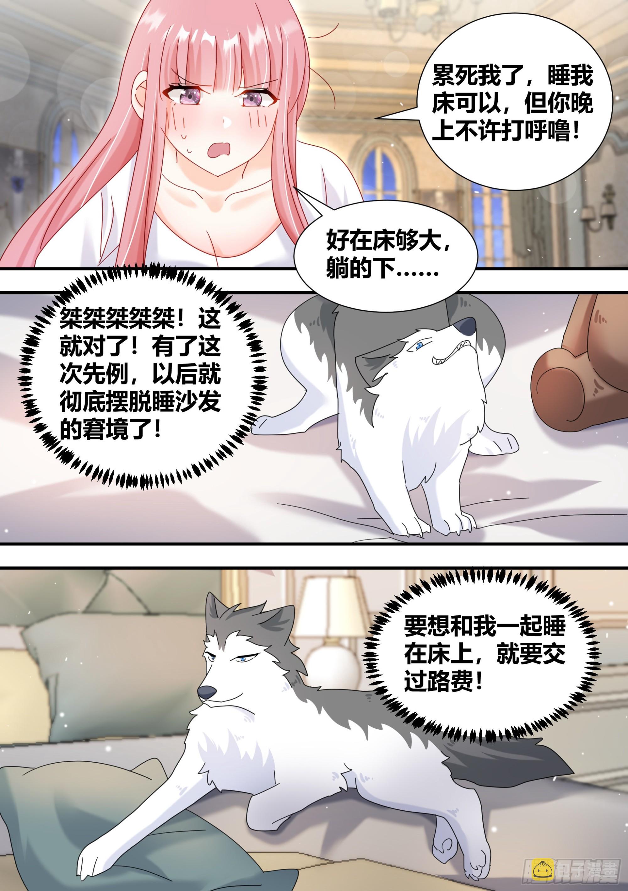 296-哈士奇的选择11