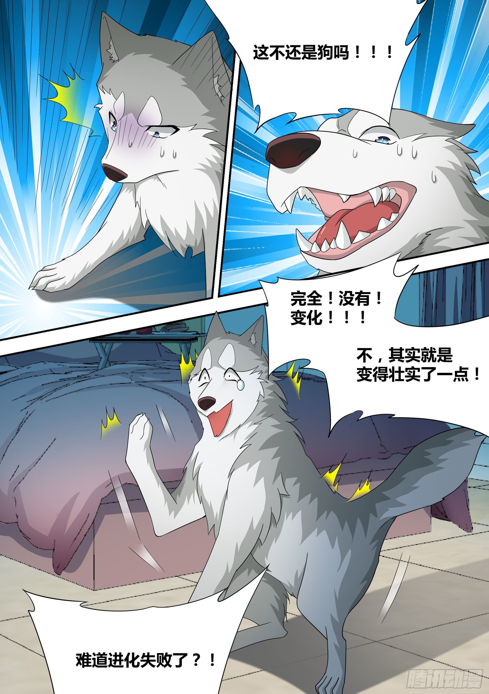 15-狗皇进化12