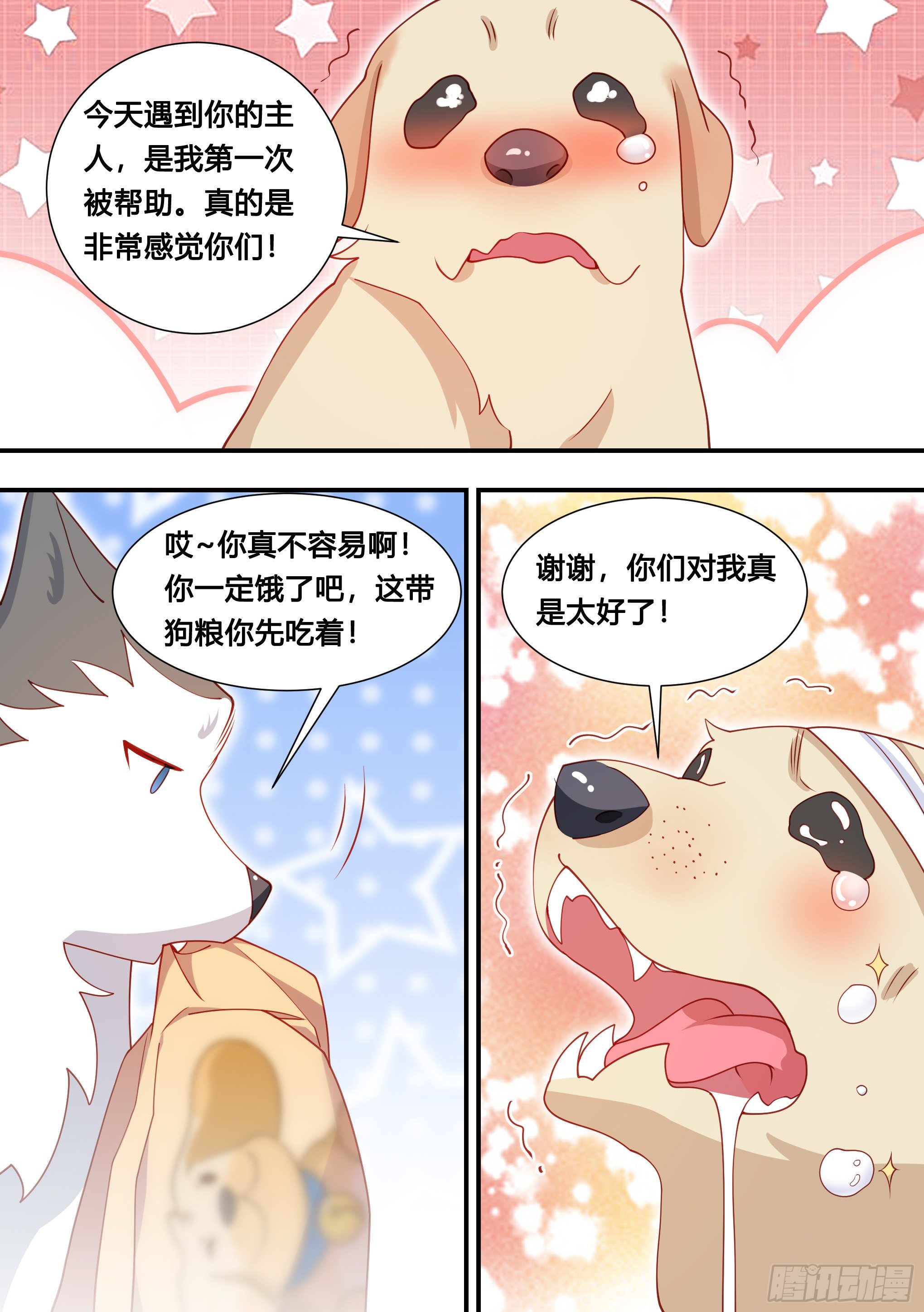 127-流浪狗的苦难生活4