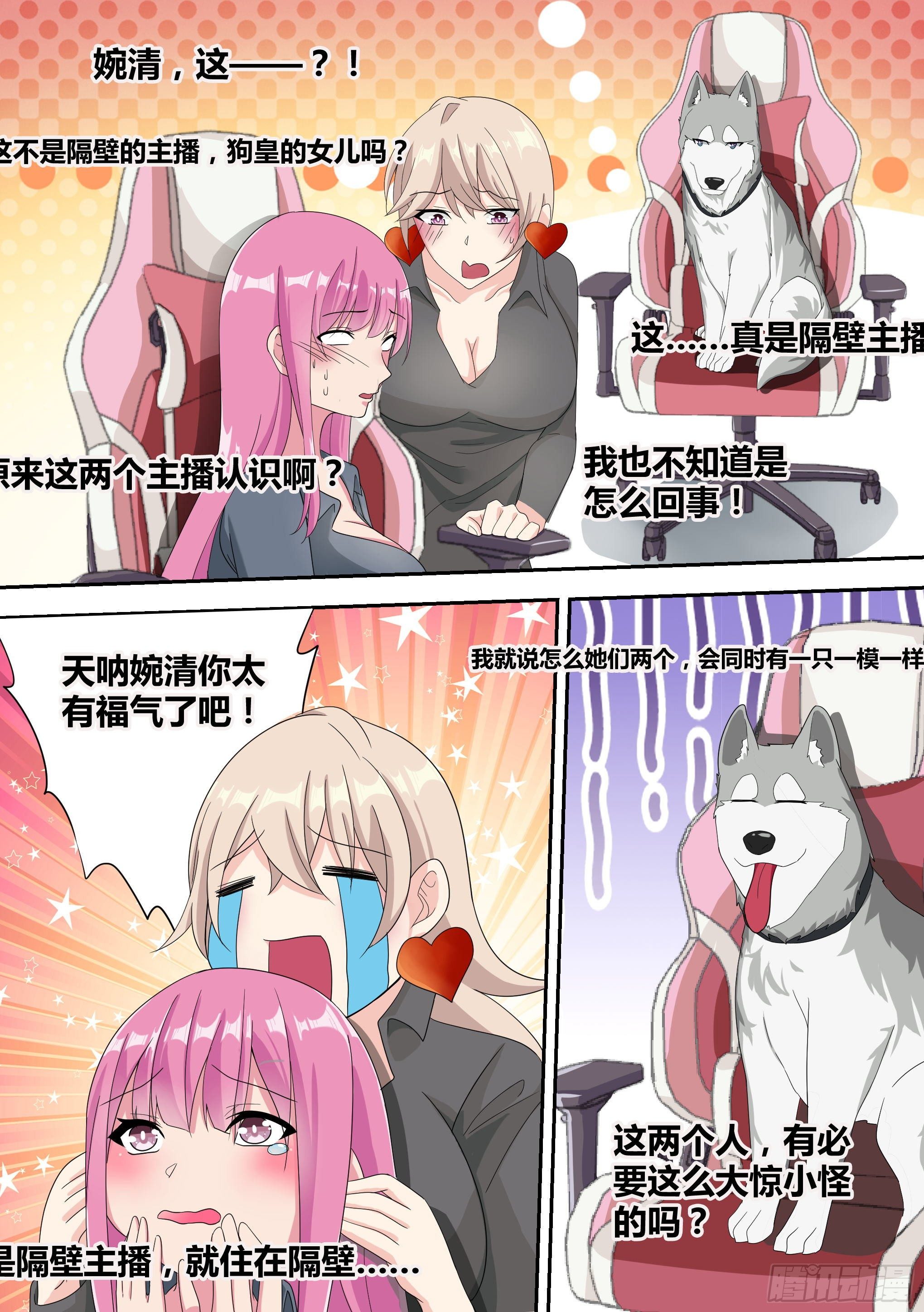 15-狗皇进化2