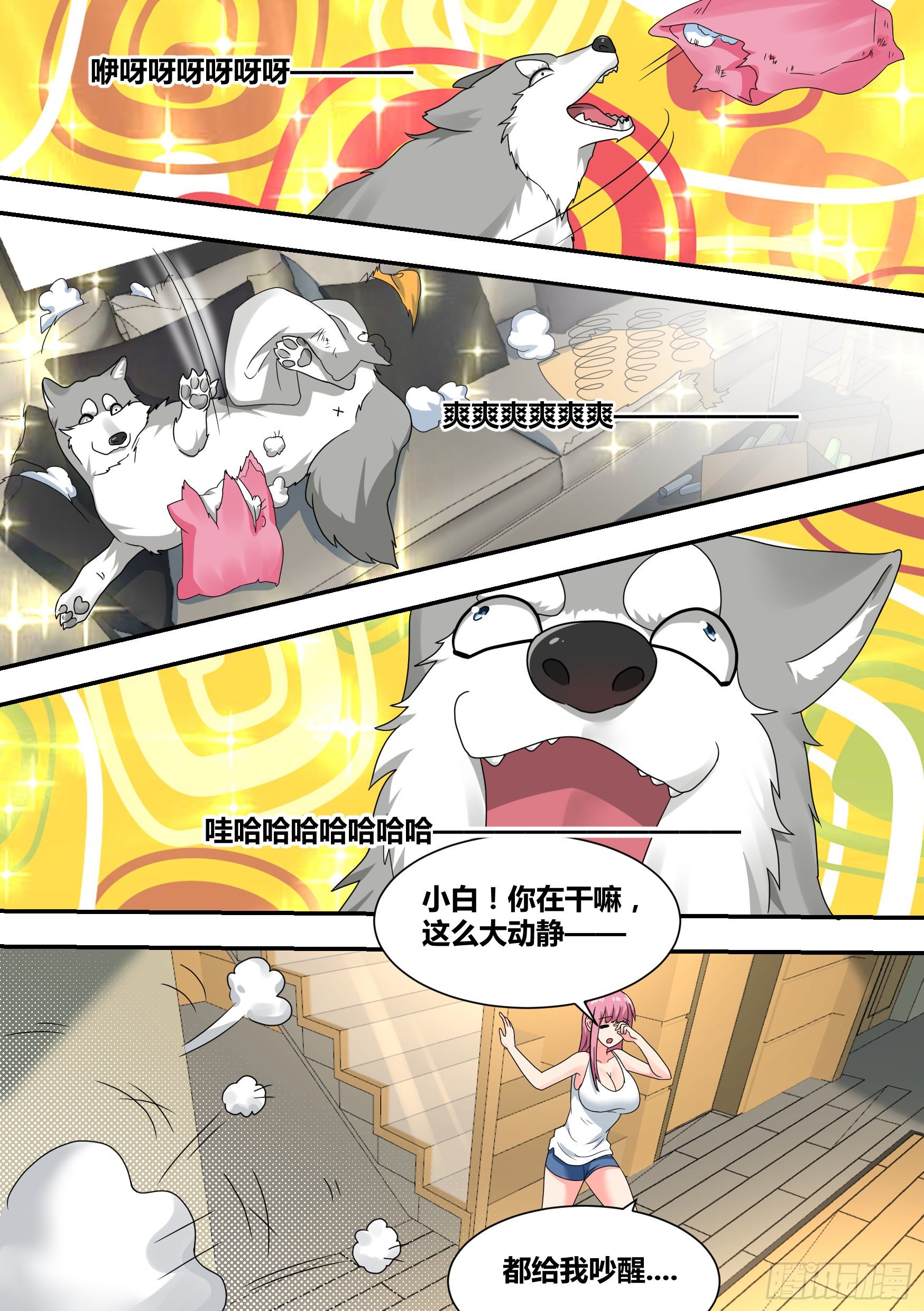22-拆家基因觉醒9