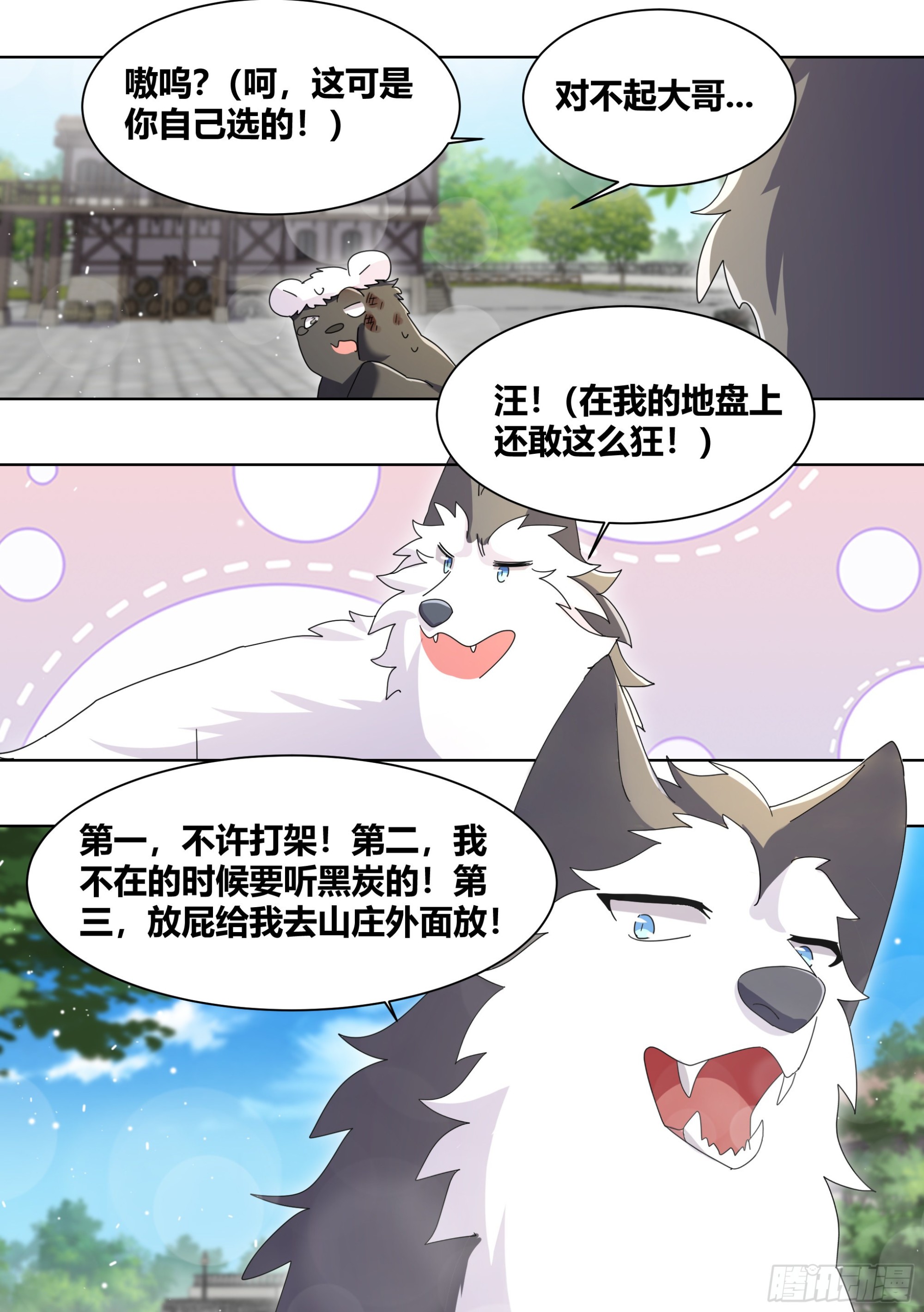 266-素心莲子1