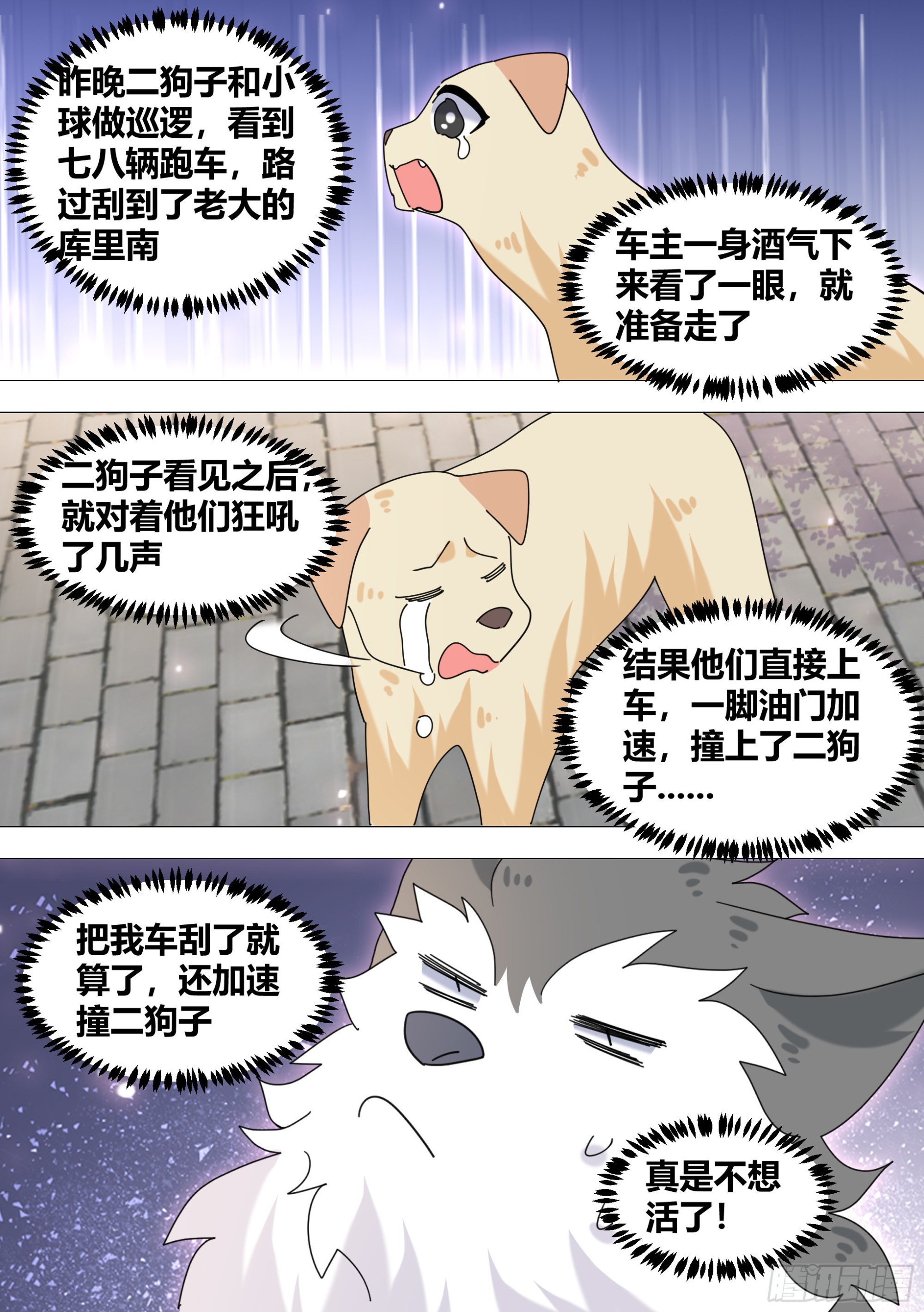 371-老板，你放过我们好吗11