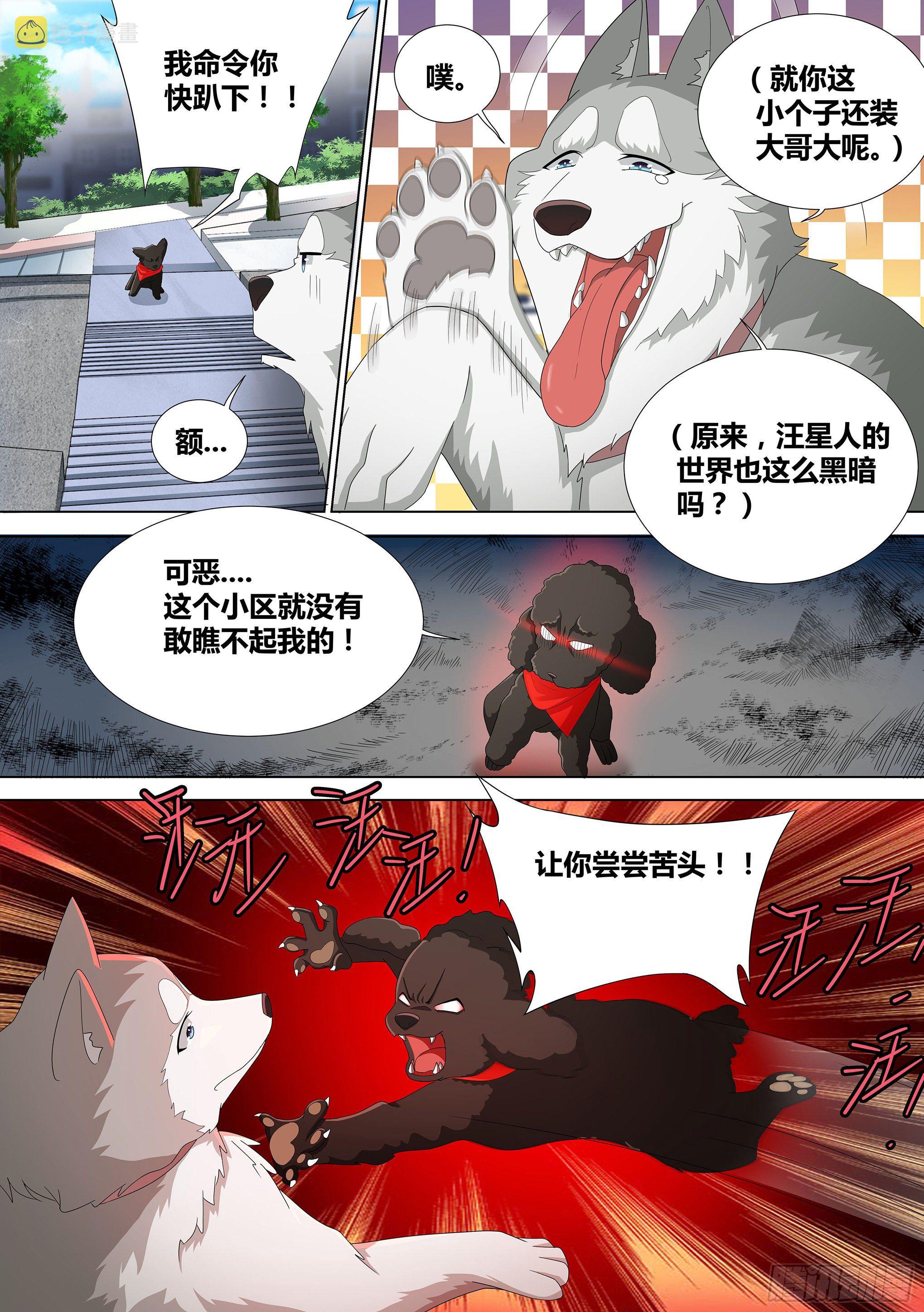 9-小区“恶霸”15