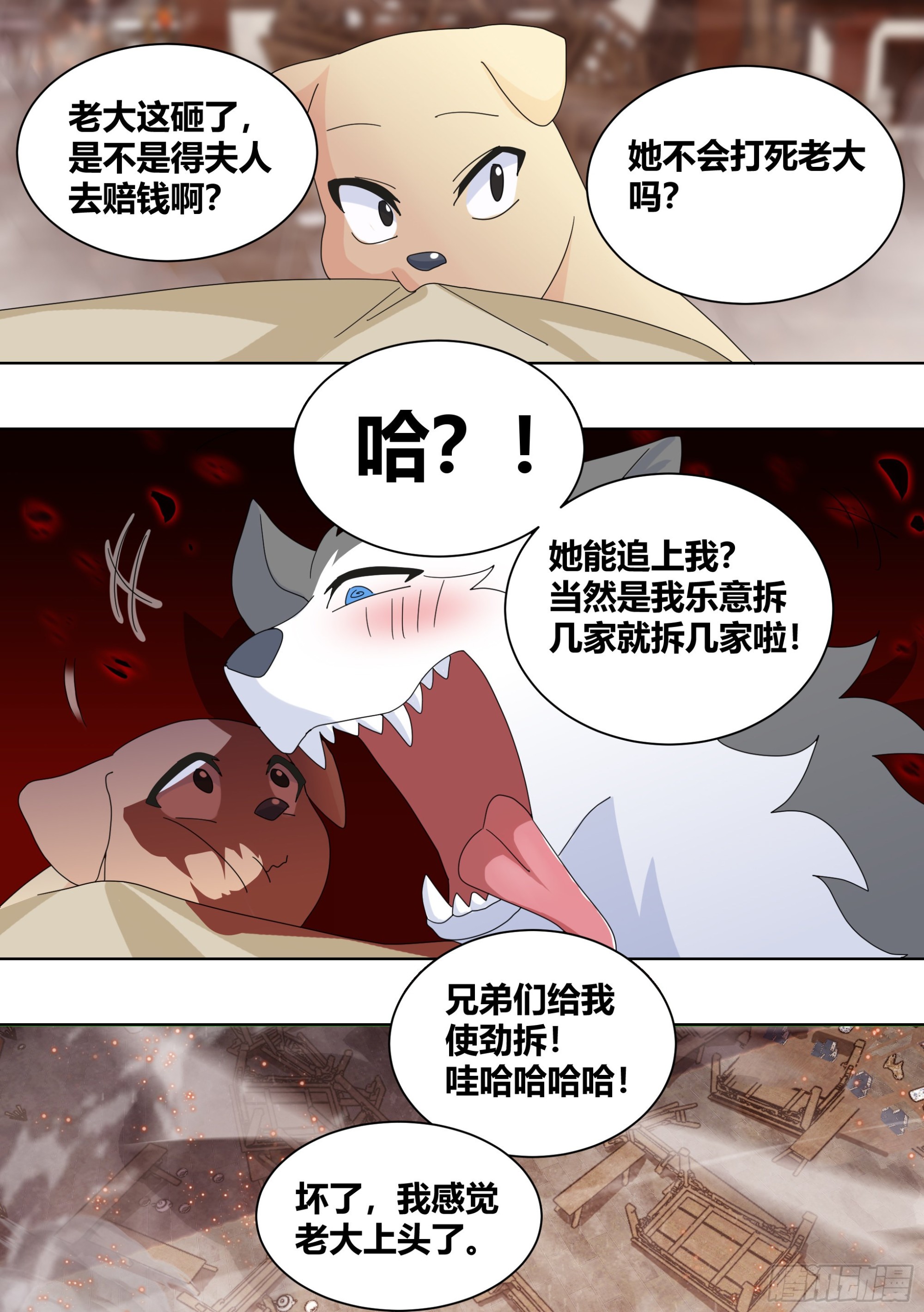 259-拆家是动物的本质12