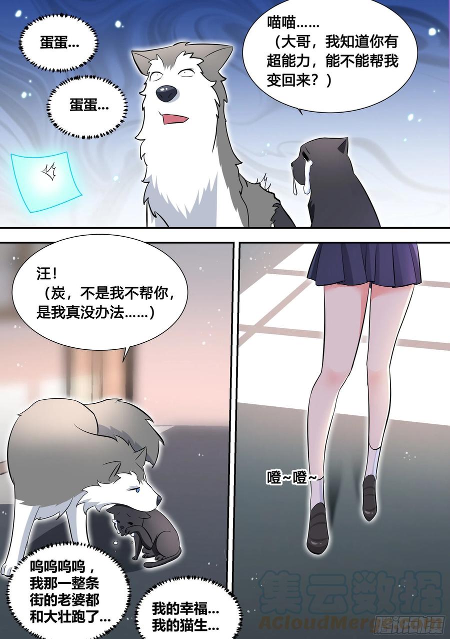 95-这门亲事我不同意！11