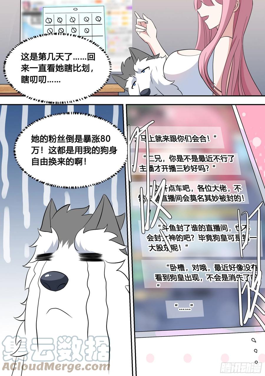 81-给小白洗澡12