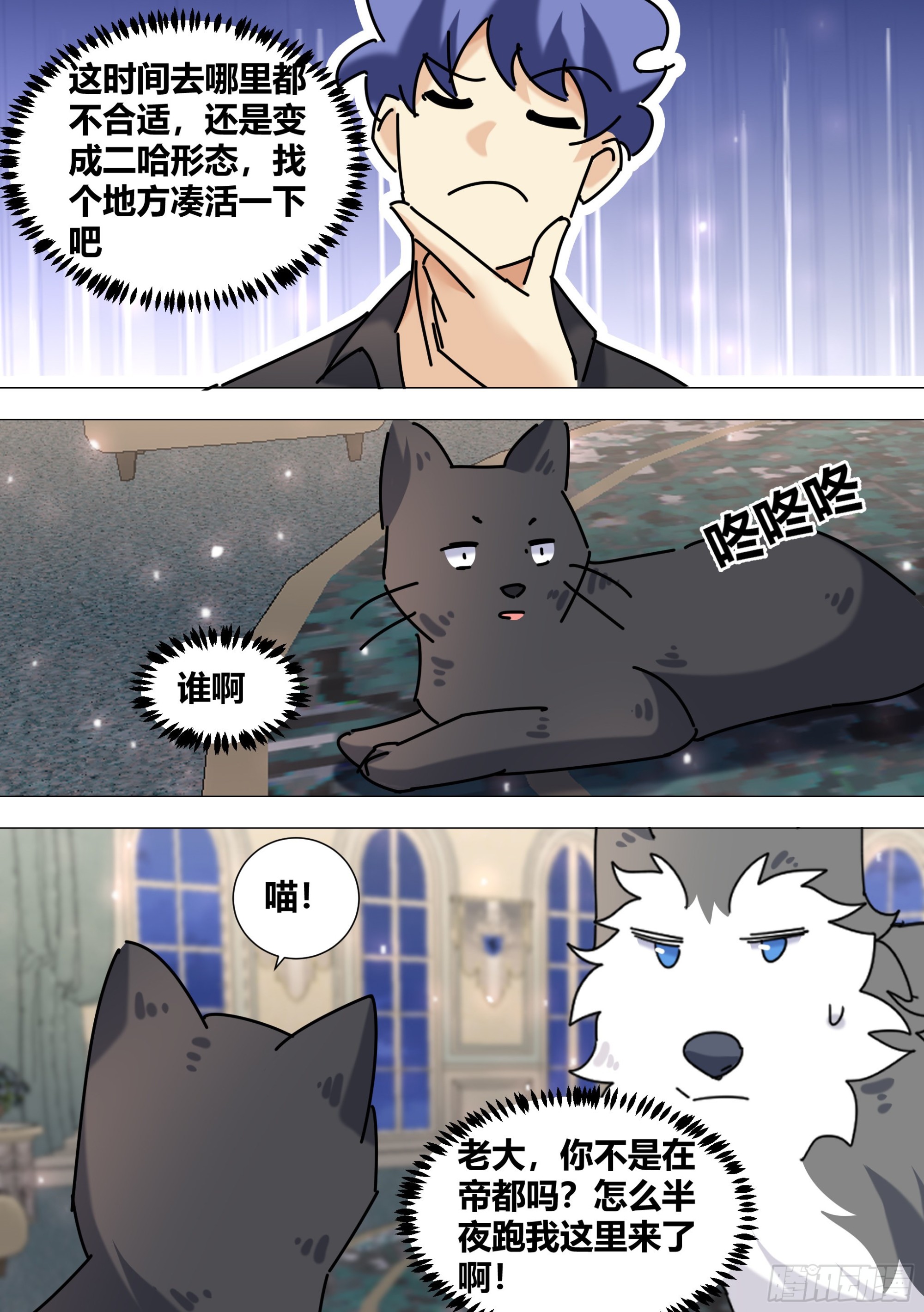 371-老板，你放过我们好吗5