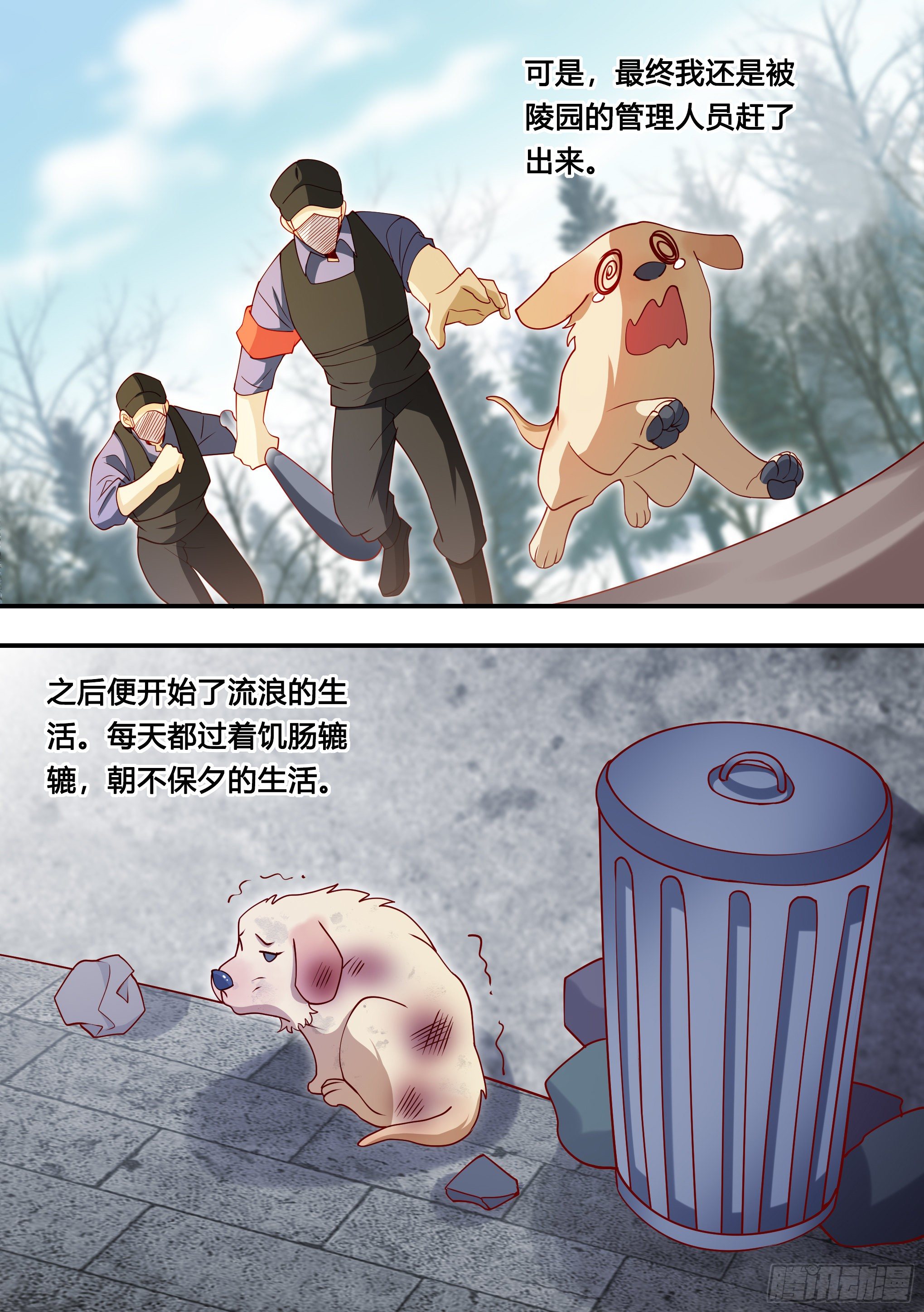 127-流浪狗的苦难生活3