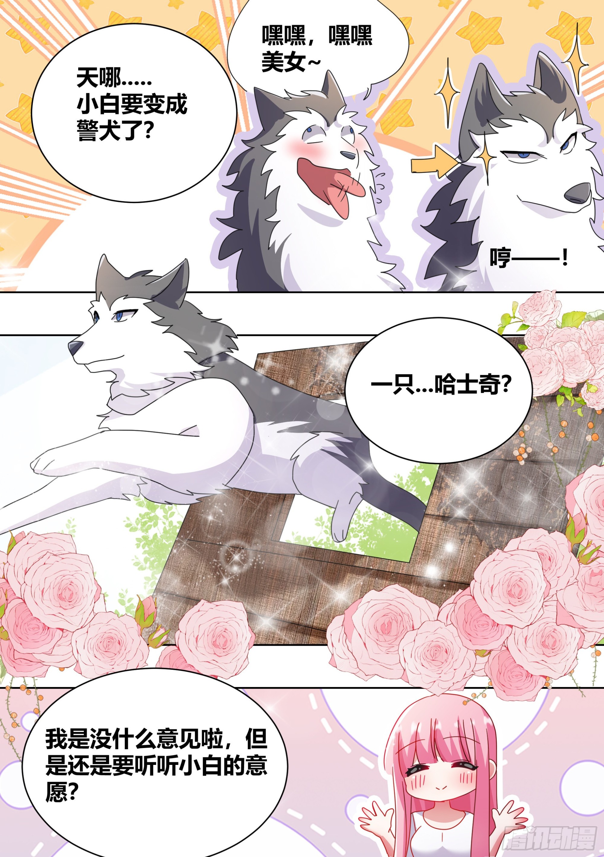 264-三只平头哥4
