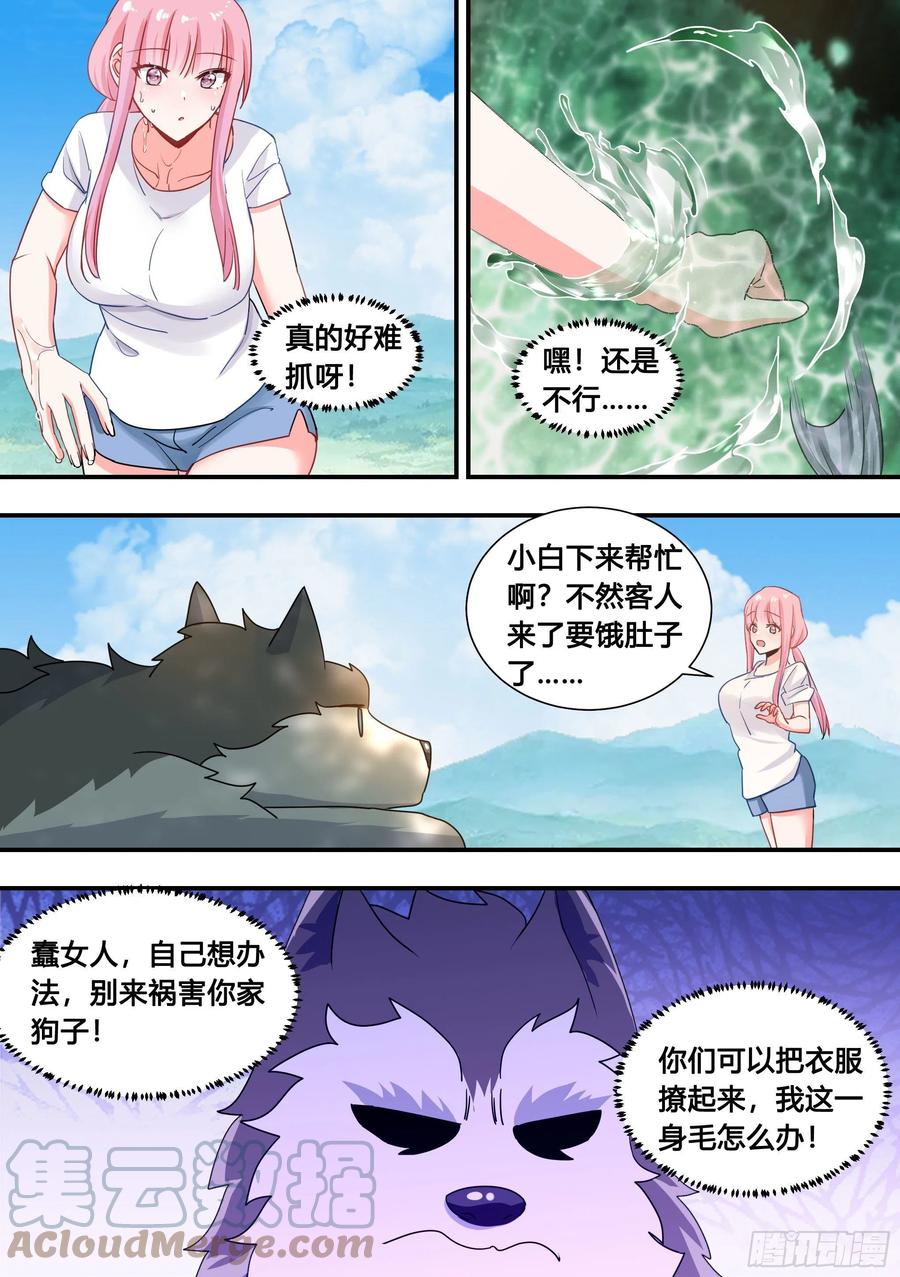 100-还得看我家小白6