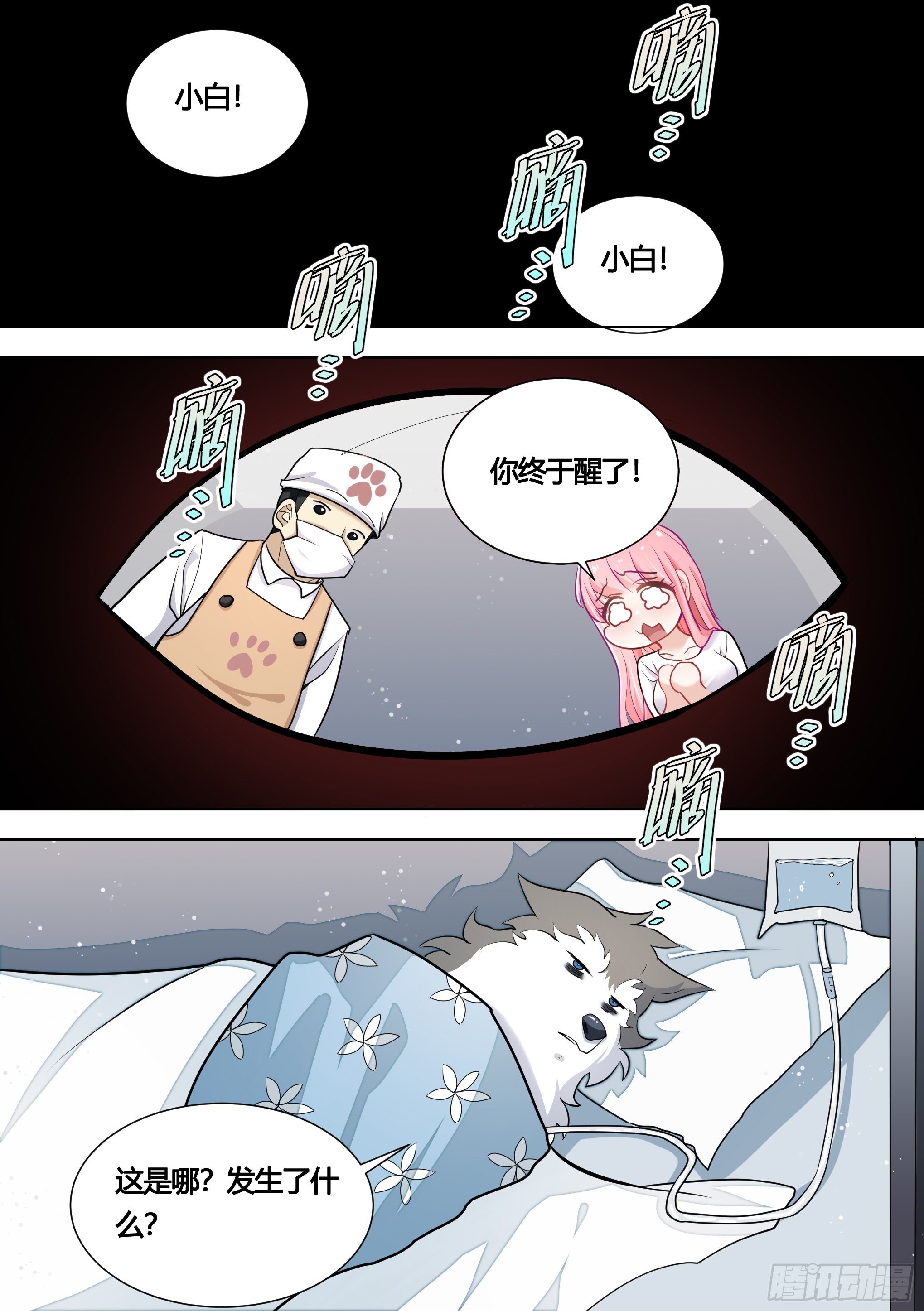 144-小白你没事太好了！1