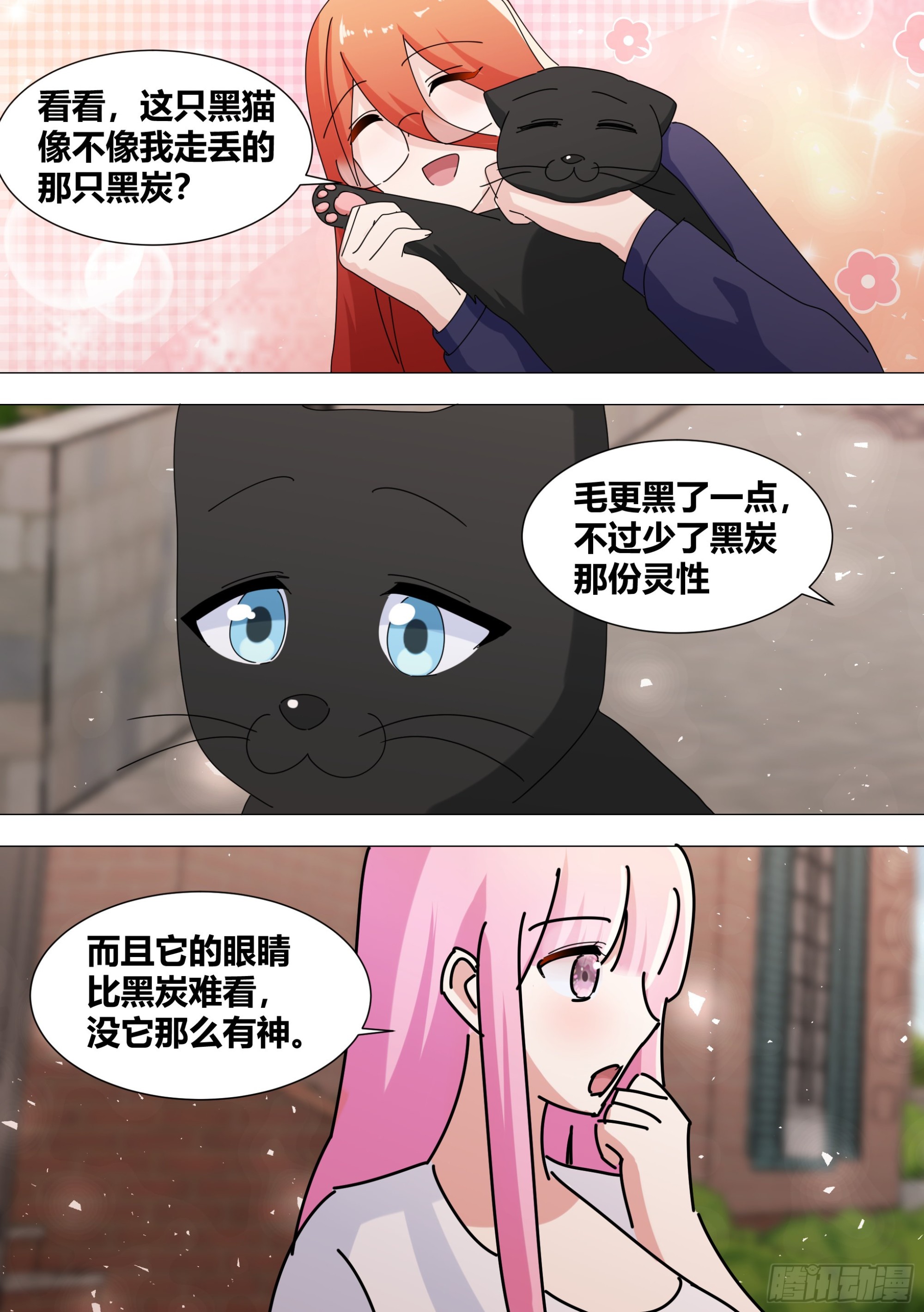 368-喵喵喵12