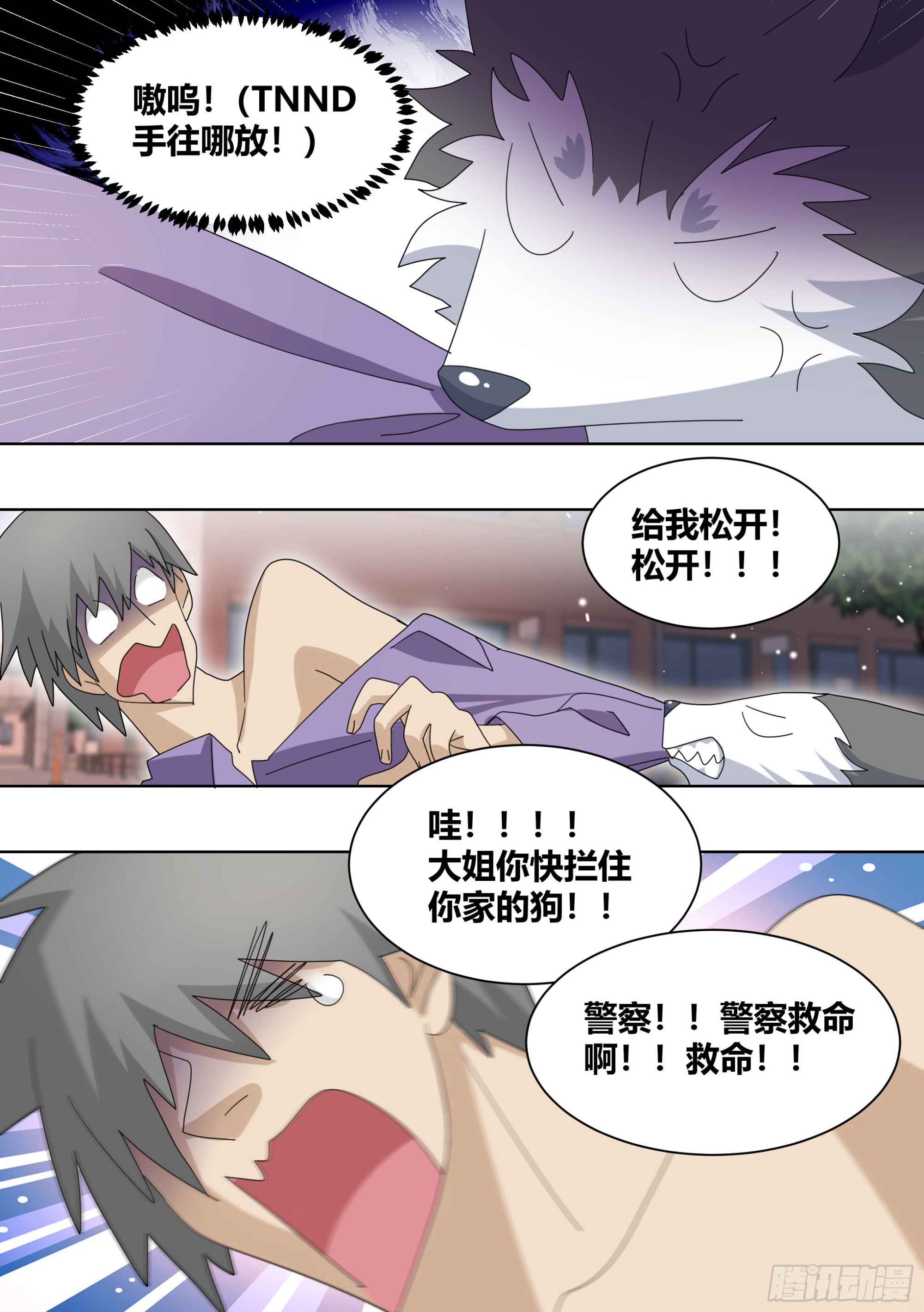 262-遛一百只狗？8