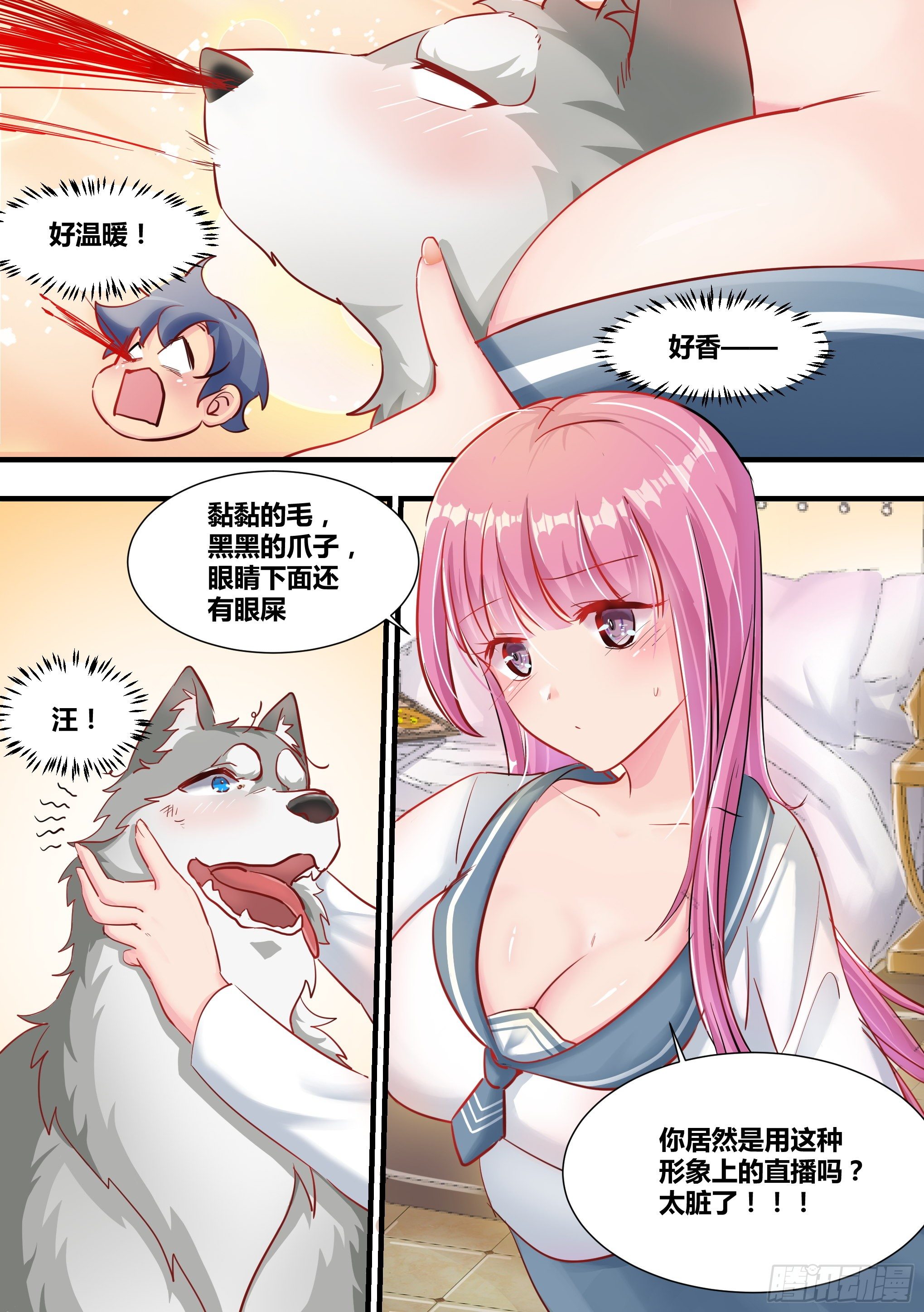 2-“狗皇”诞生了！11